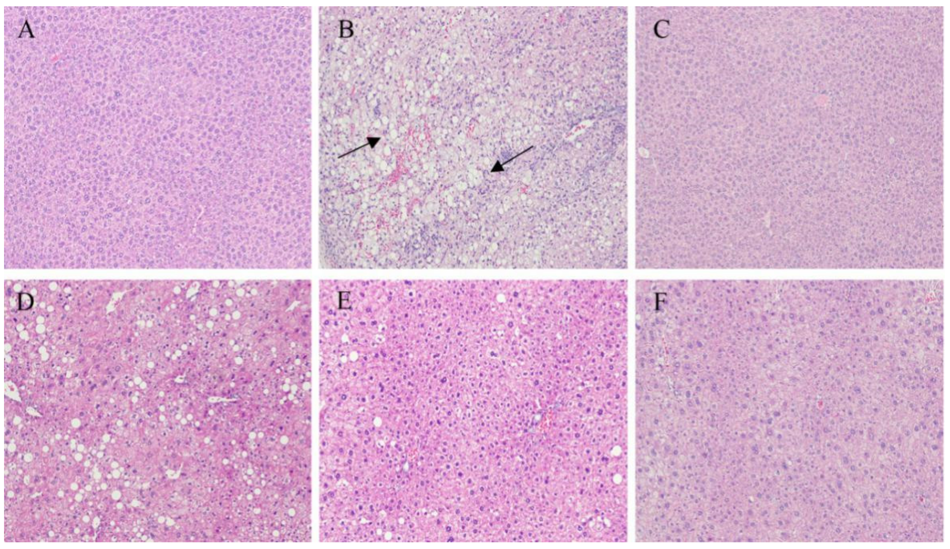 Marinedrugs 17 00541 g004 Marinedrugs 17 00541 g004