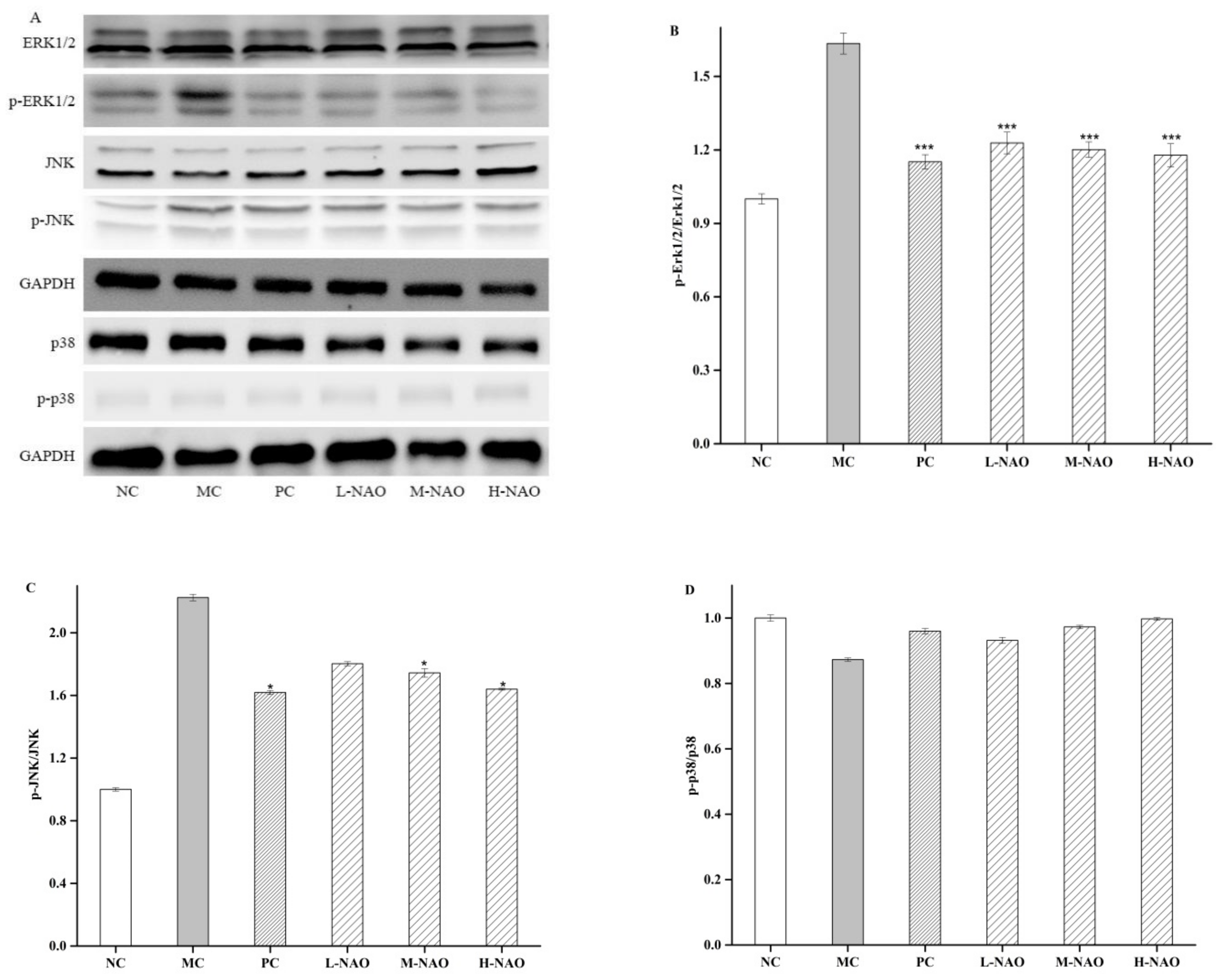 Marinedrugs 17 00541 g007 Marinedrugs 17 00541 g007