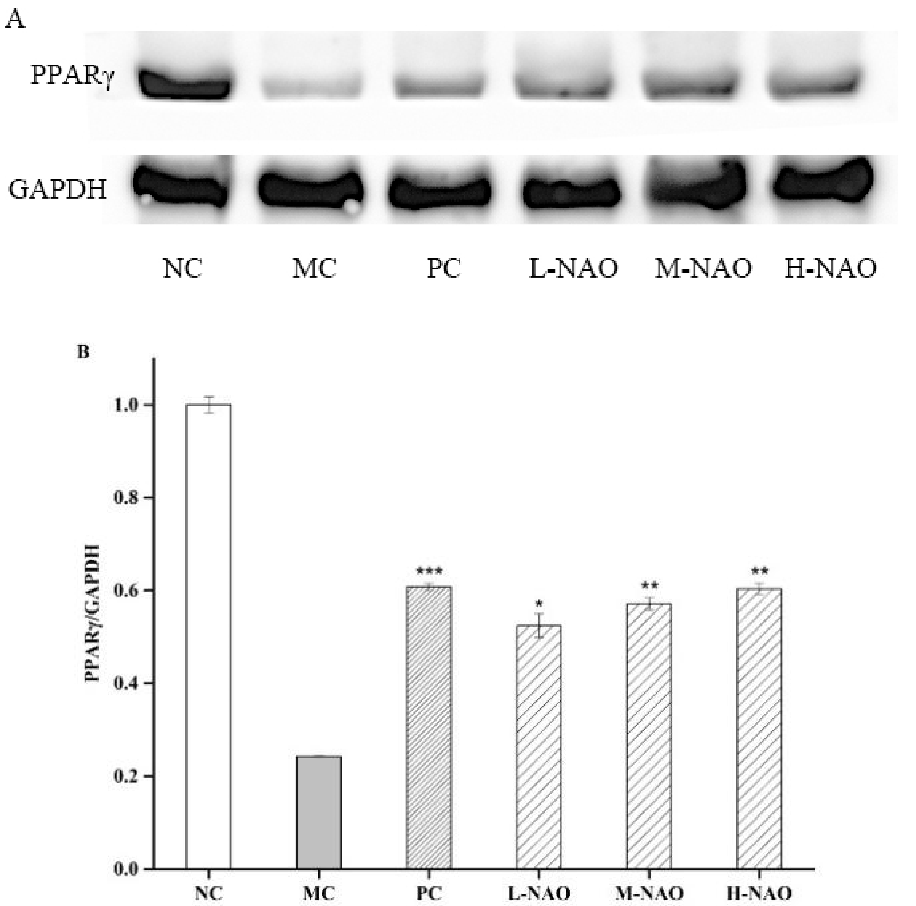 Marinedrugs 17 00541 g009 Marinedrugs 17 00541 g009