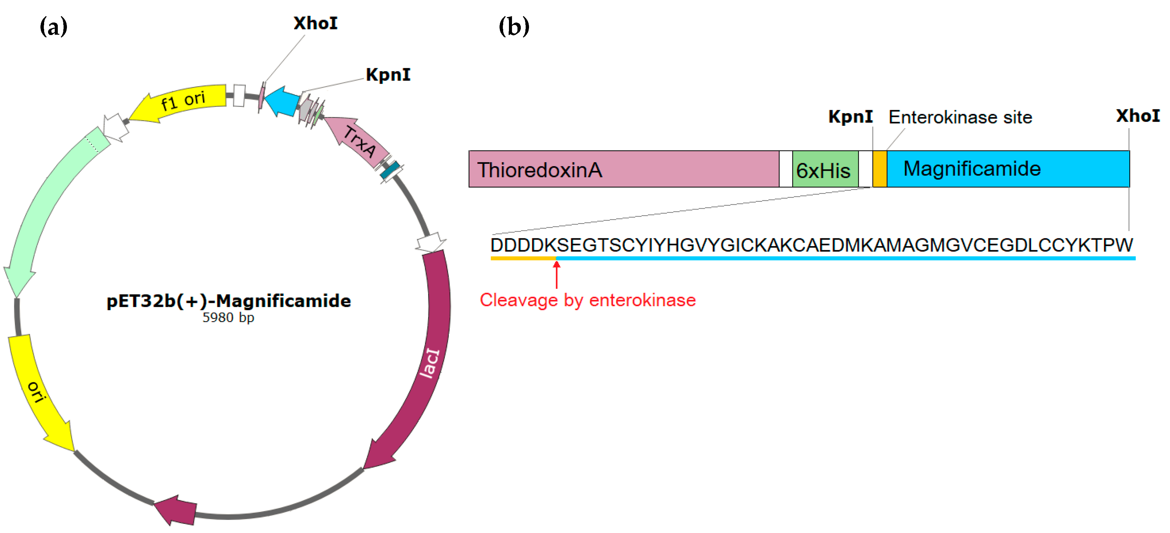 Marinedrugs 17 00542 g001 Marinedrugs 17 00542 g001