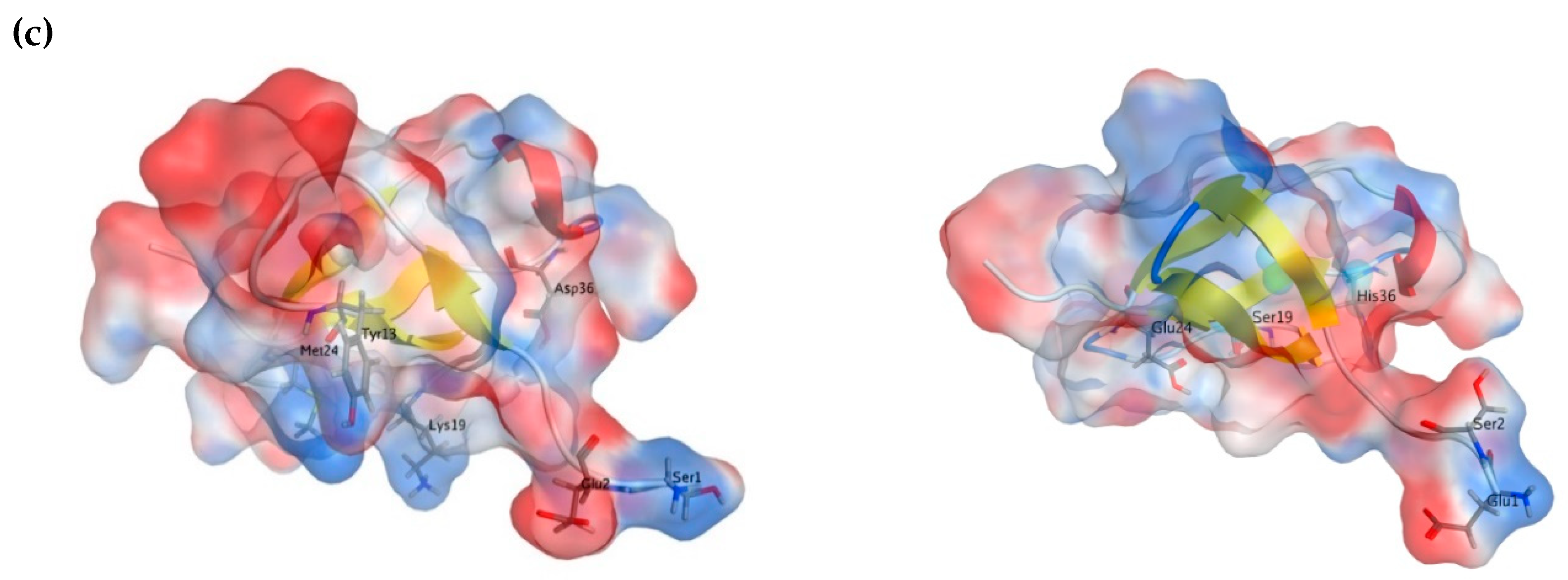 Marinedrugs 17 00542 g005b Marinedrugs 17 00542 g005b