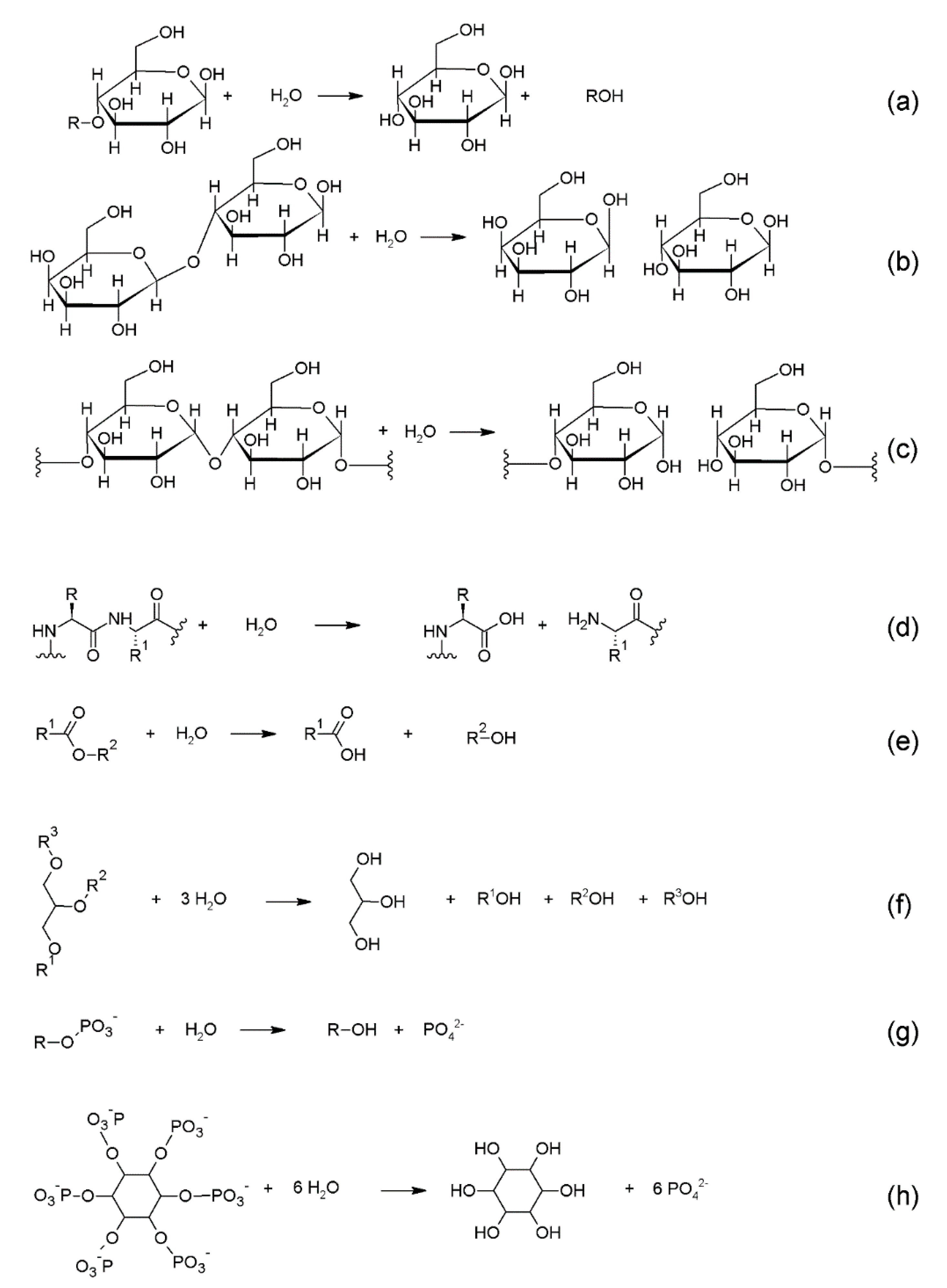 Marinedrugs 17 00544 sch001 Marinedrugs 17 00544 sch001