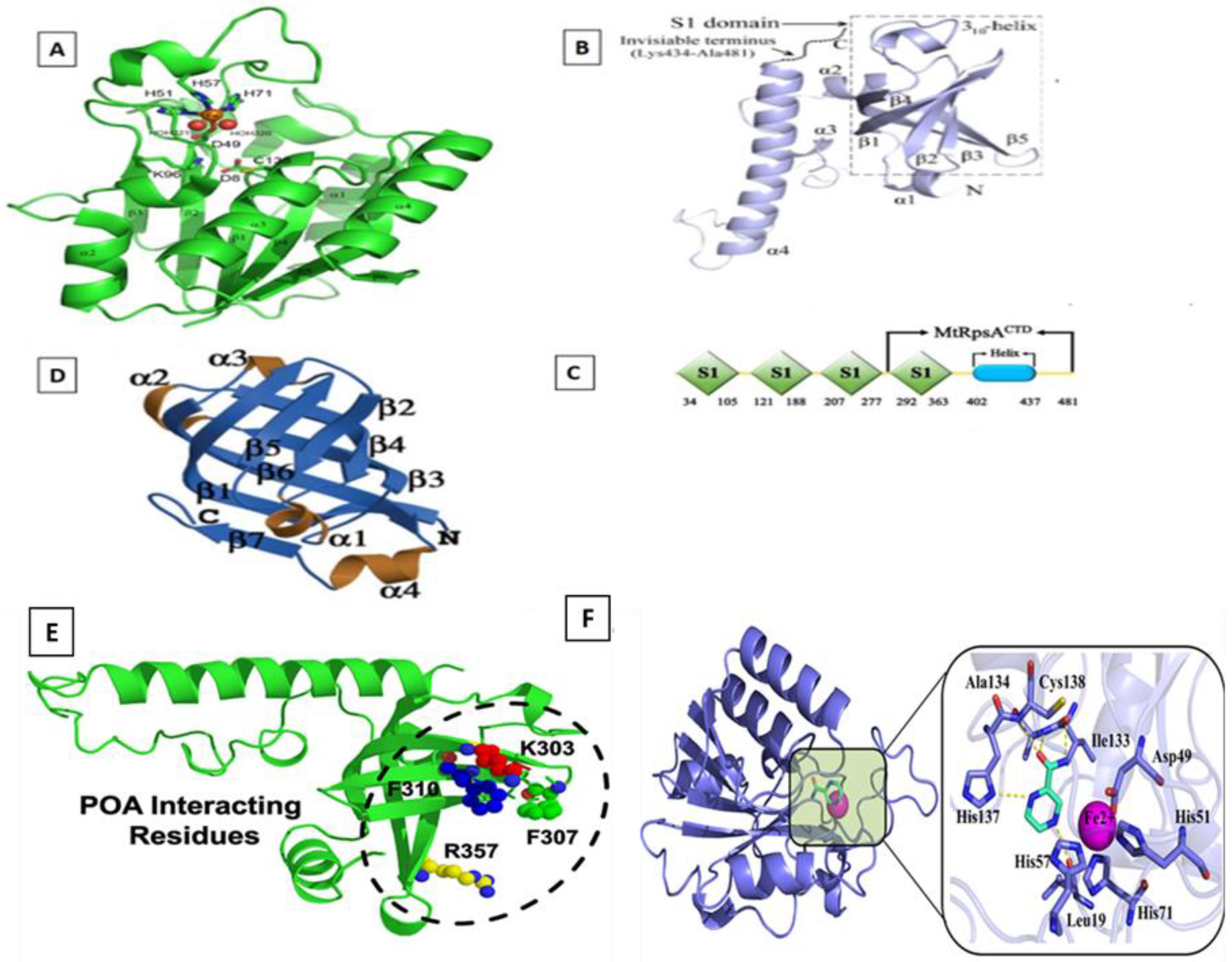 Marinedrugs 17 00549 g001