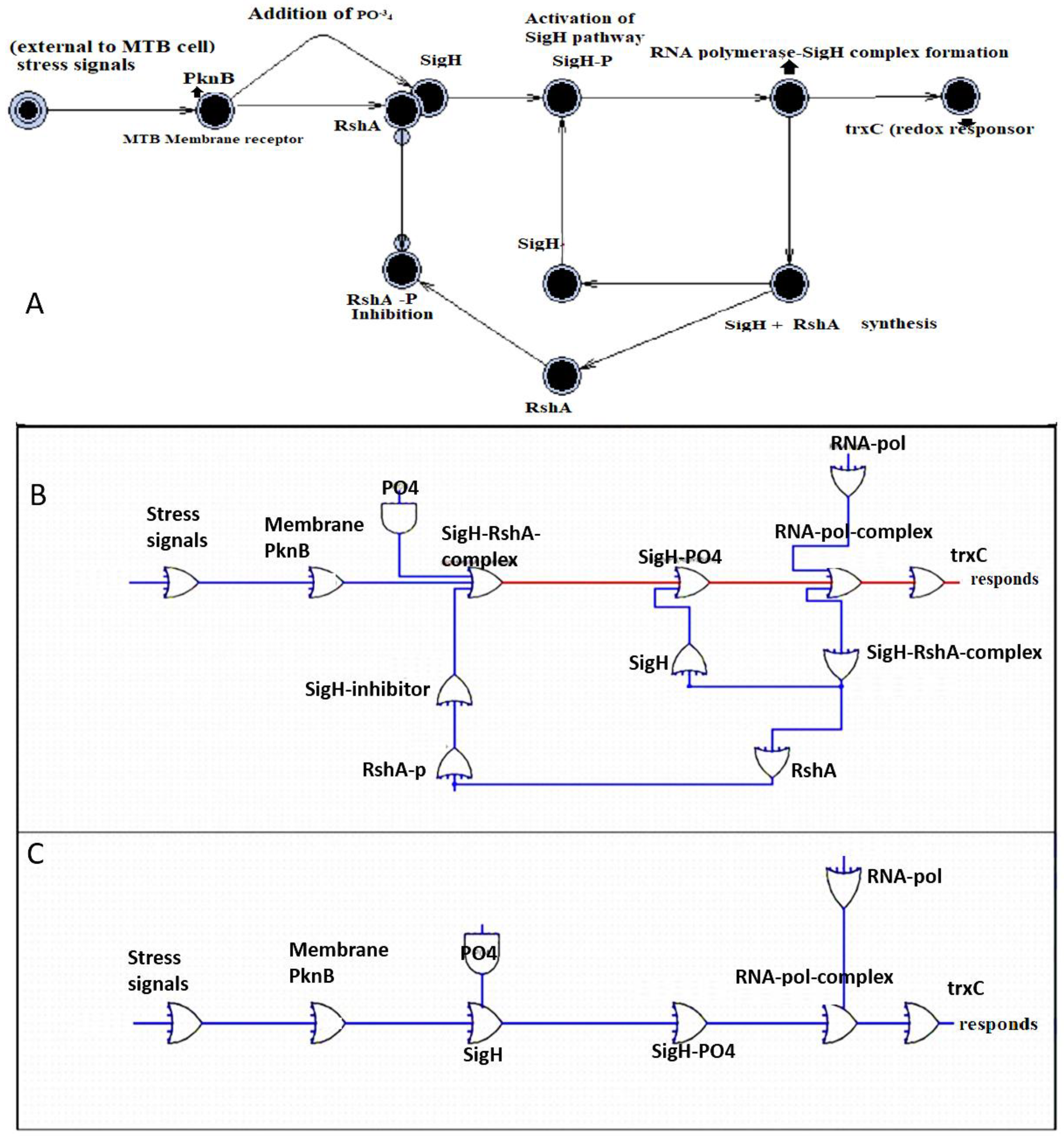 Marinedrugs 17 00549 g003