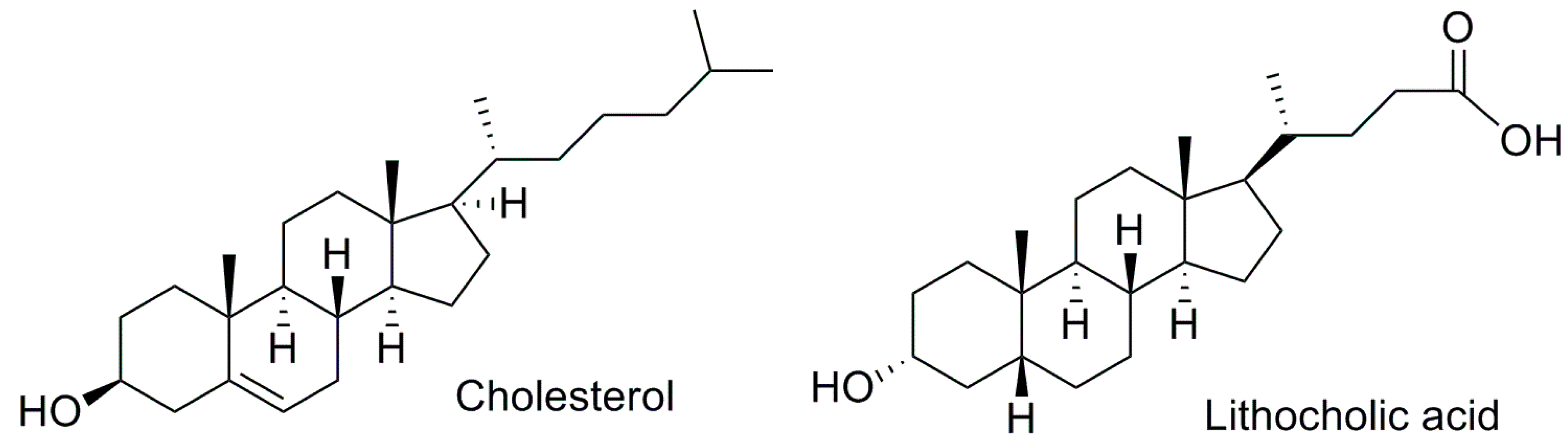 Marinedrugs 17 00554 g002 Marinedrugs 17 00554 g002