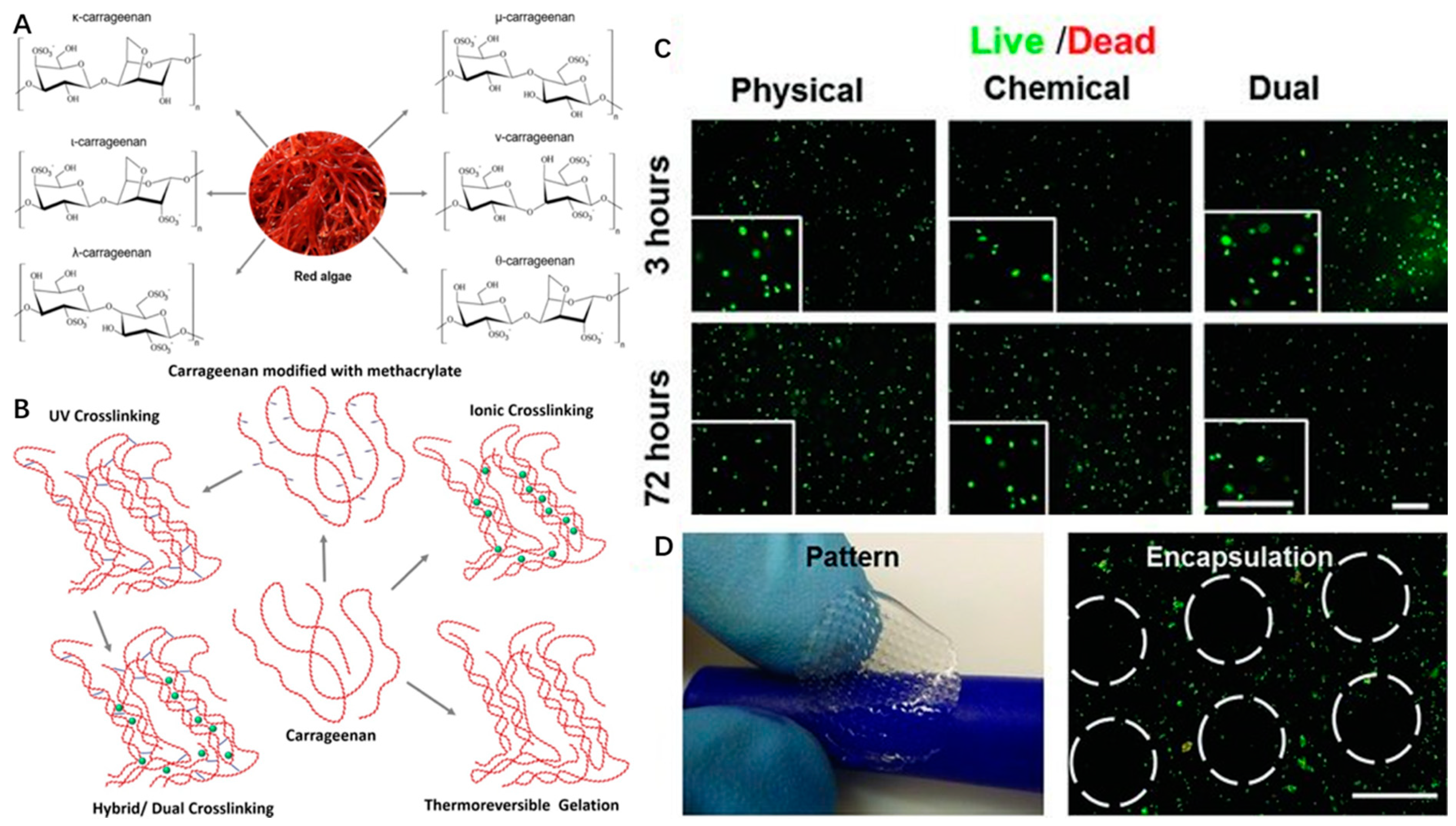 Marinedrugs 17 00555 g004 Marinedrugs 17 00555 g004