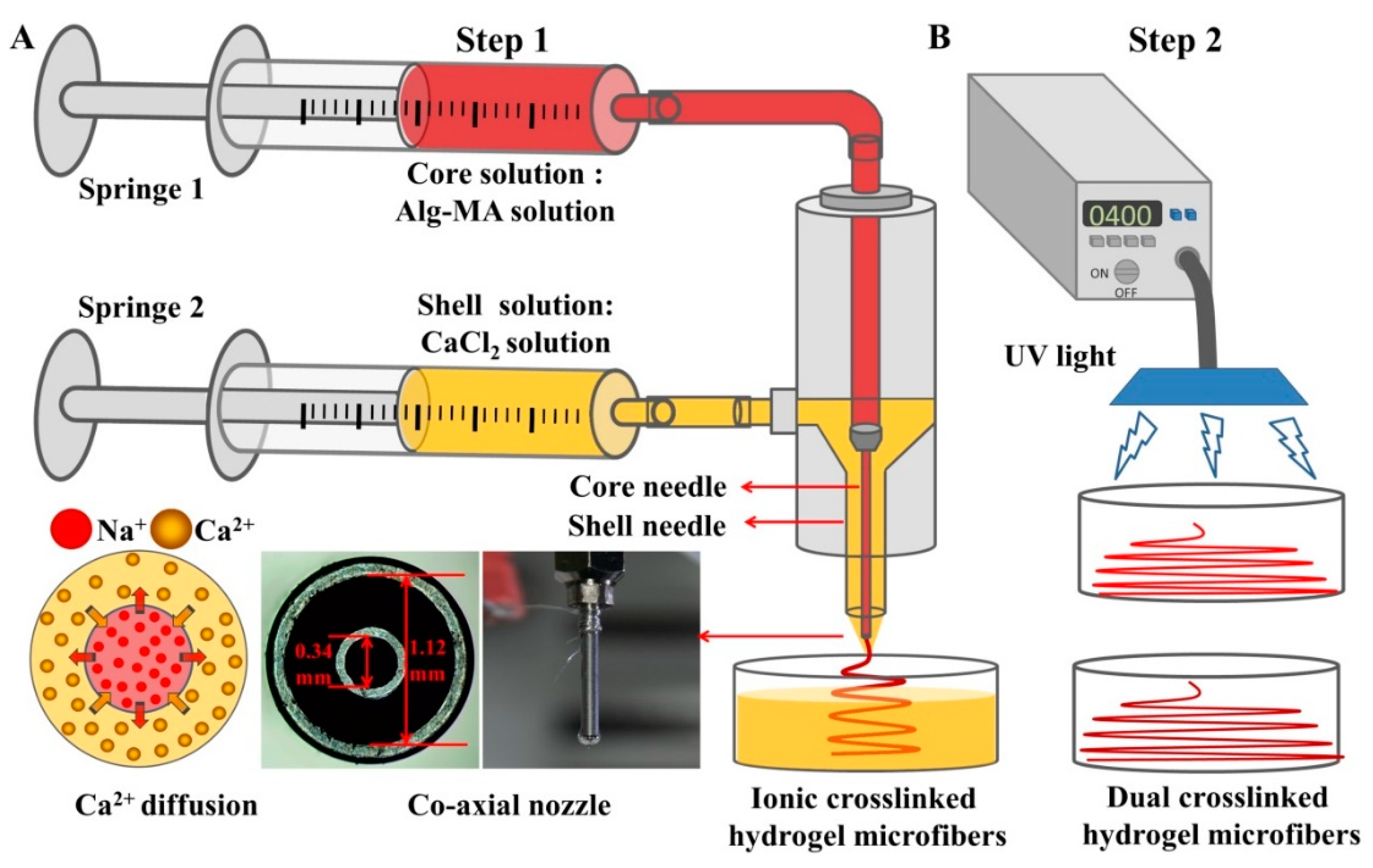 Marinedrugs 17 00557 g008 Marinedrugs 17 00557 g008