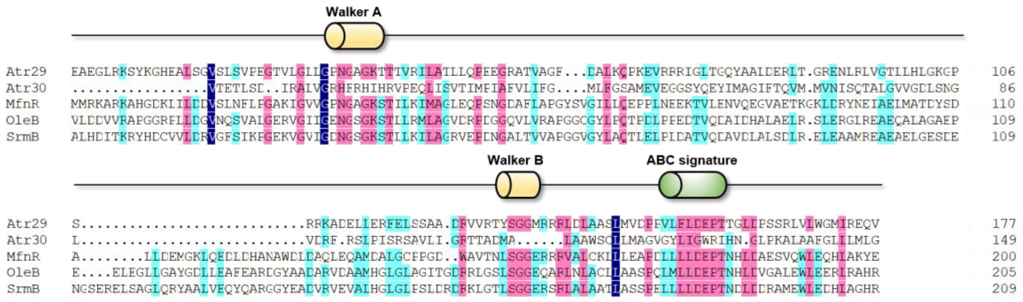 Marinedrugs 17 00560 g003 Marinedrugs 17 00560 g003