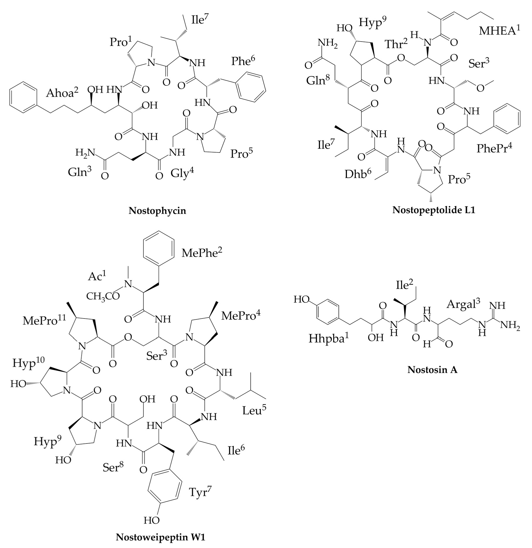 Marinedrugs 17 00561 g002 Marinedrugs 17 00561 g002