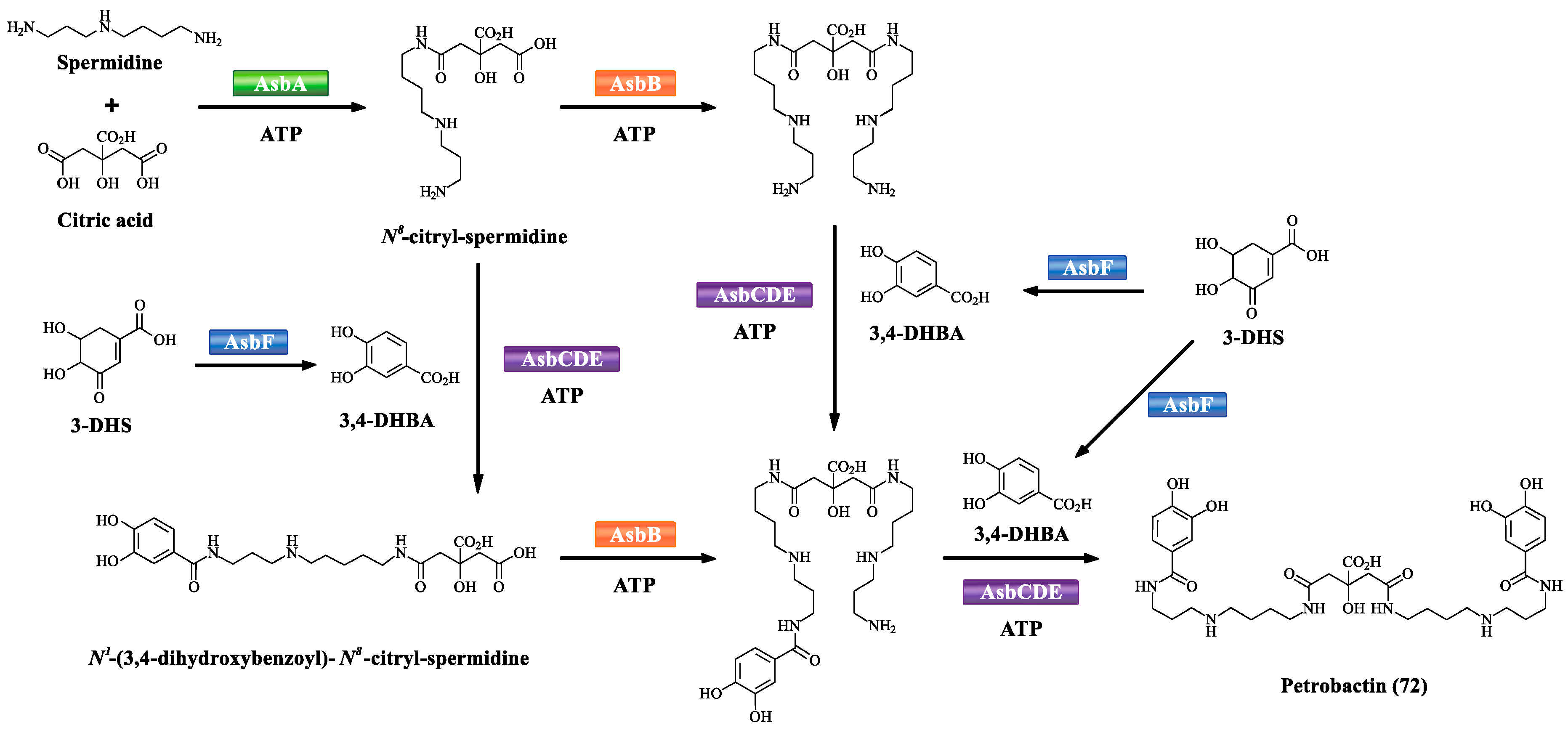 Marinedrugs 17 00562 sch006 Marinedrugs 17 00562 sch006