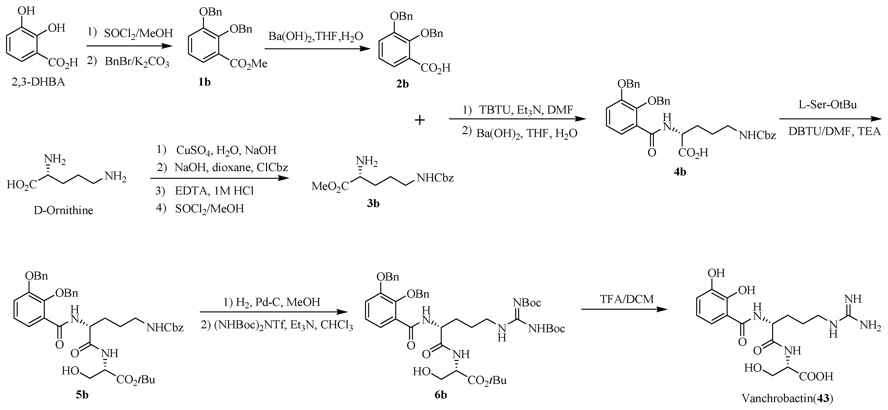 Marinedrugs 17 00562 sch008 Marinedrugs 17 00562 sch008