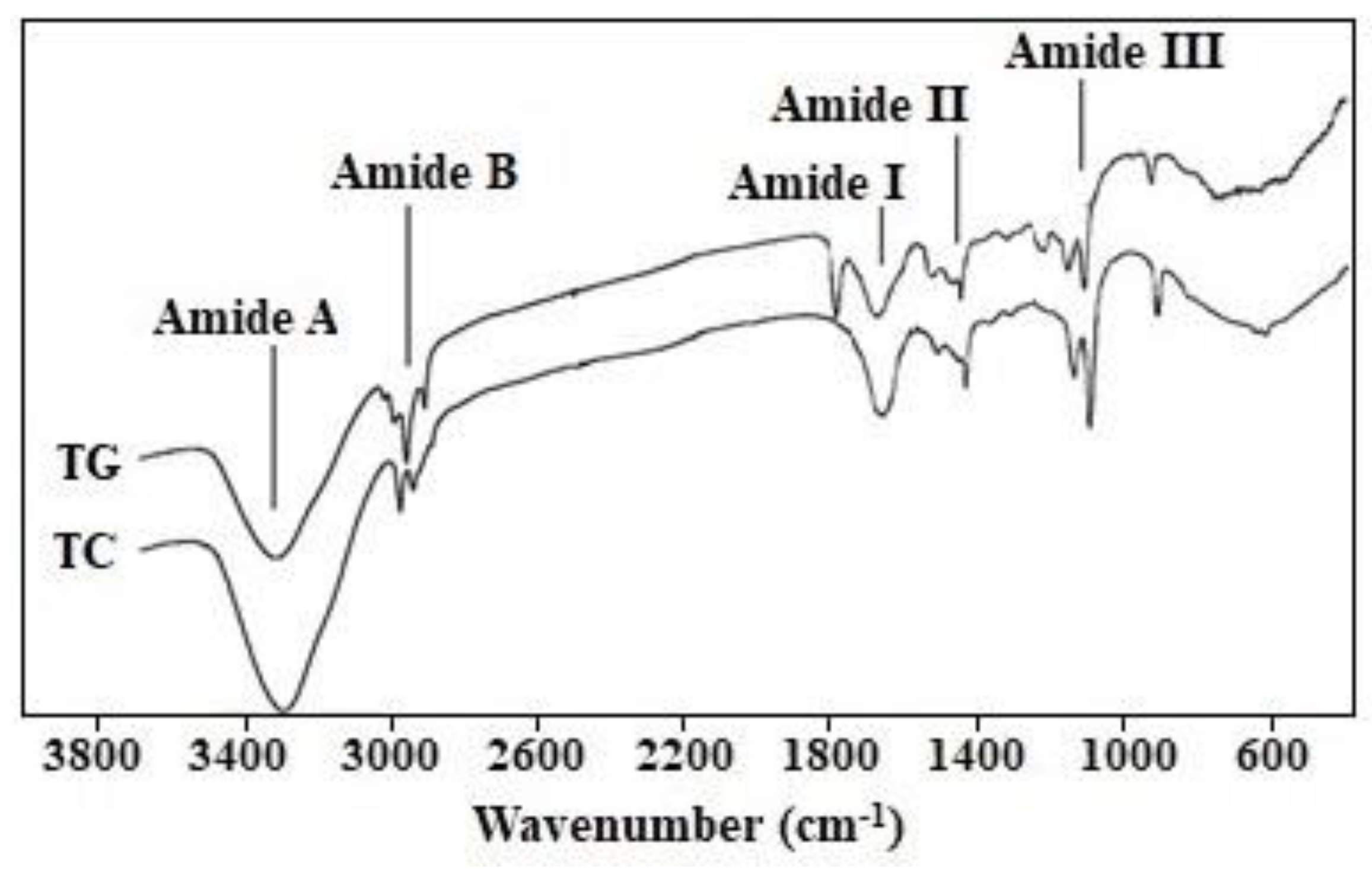 Marinedrugs 17 00565 g002 Marinedrugs 17 00565 g002