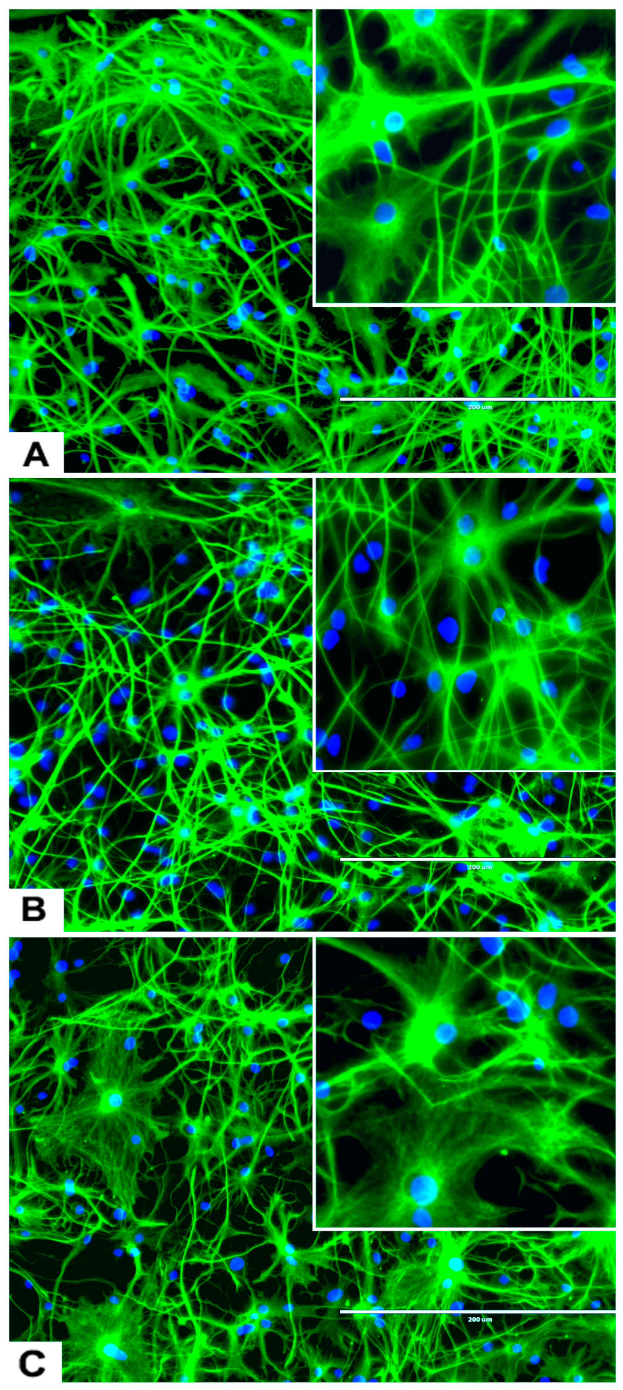 Marinedrugs 17 00566 g005