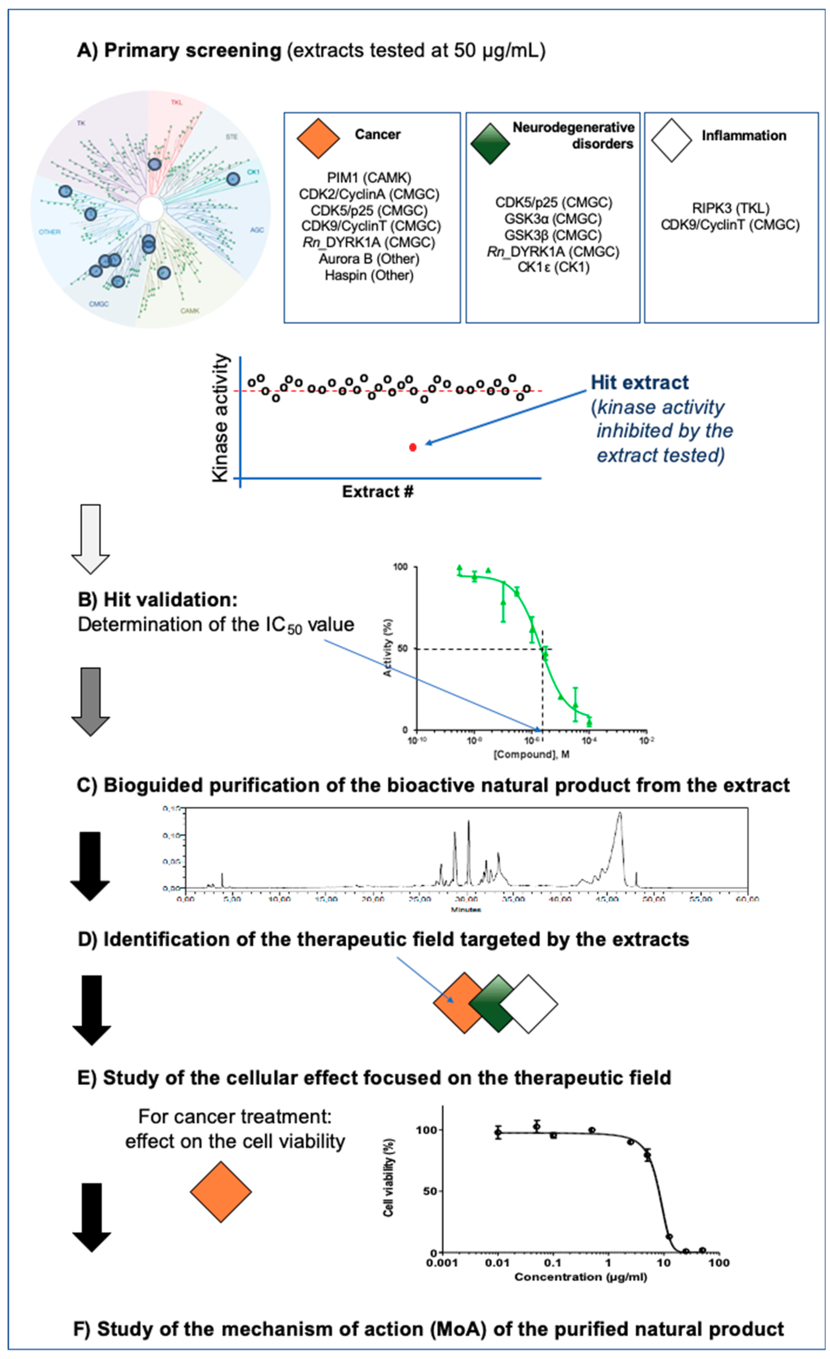 Marinedrugs 17 00569 g002 Marinedrugs 17 00569 g002