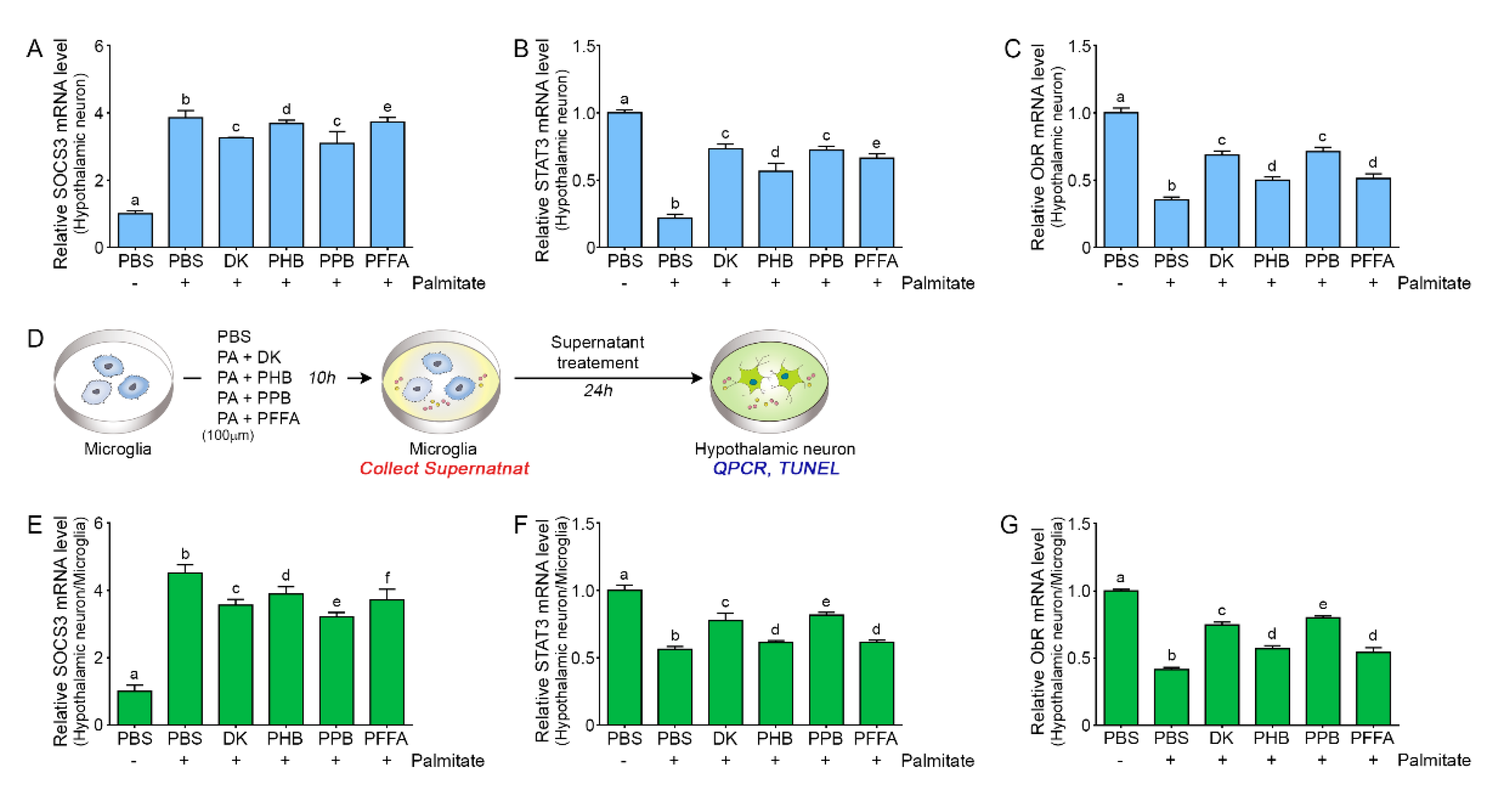 Marinedrugs 17 00570 g004