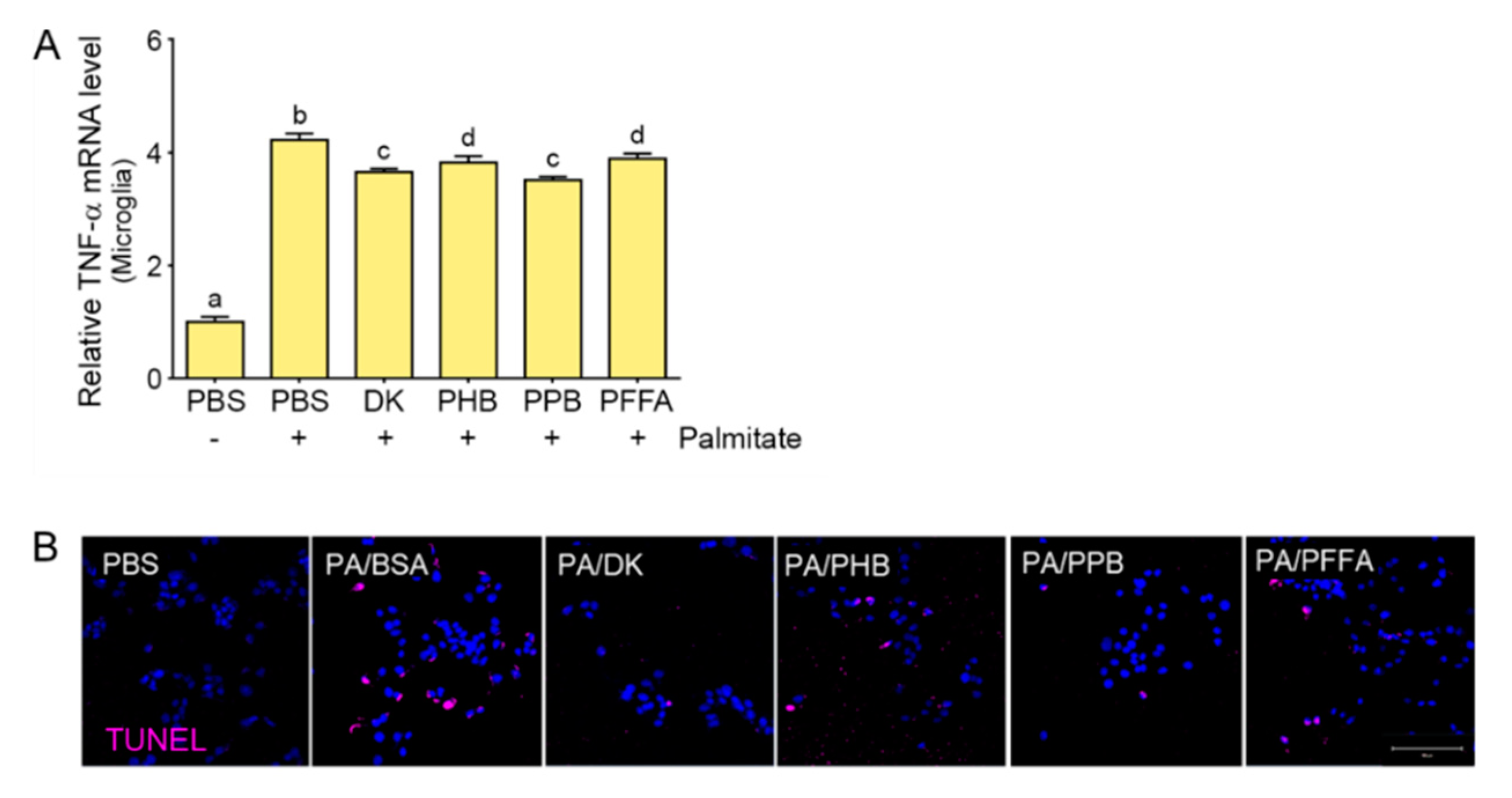 Marinedrugs 17 00570 g005