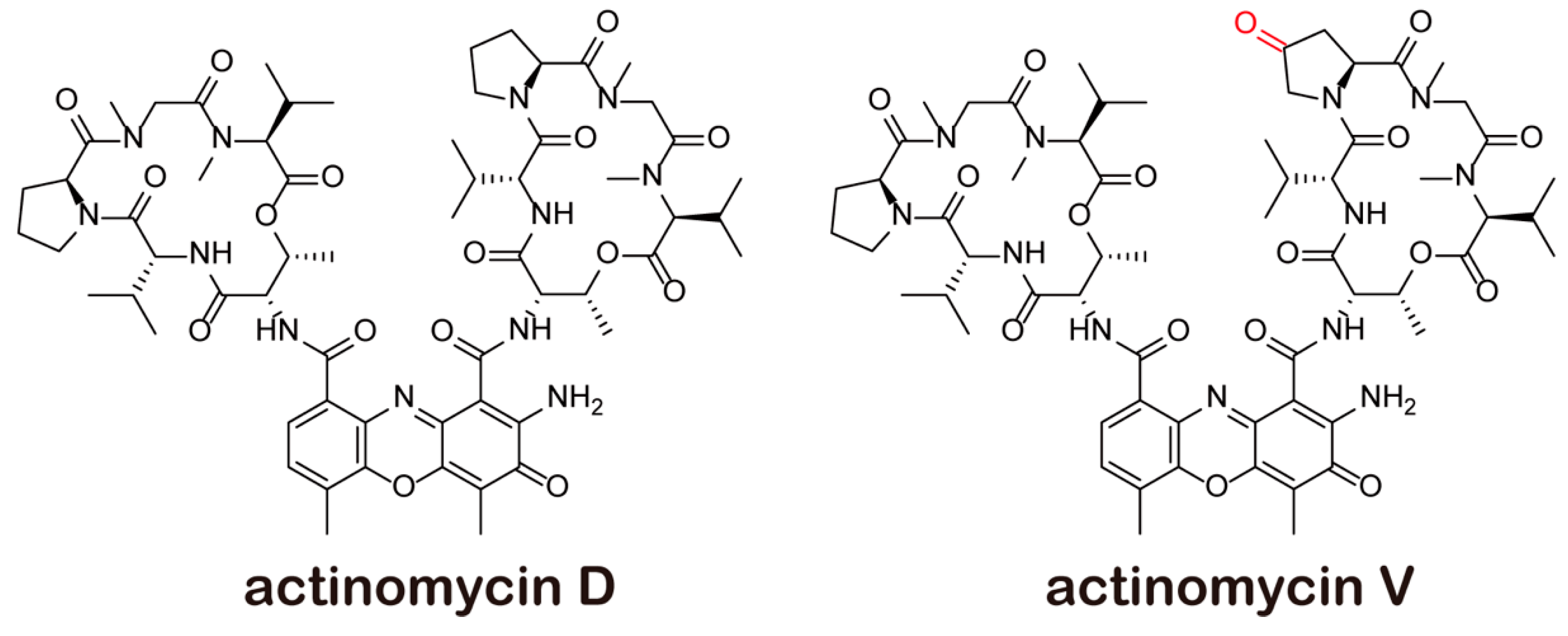 Marinedrugs 17 00572 g001