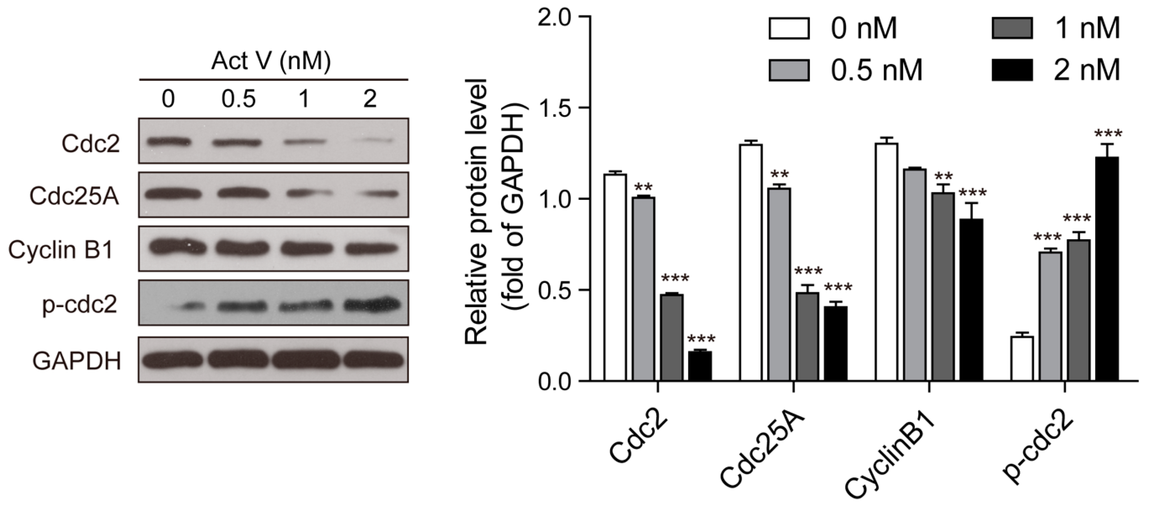 Marinedrugs 17 00572 g005