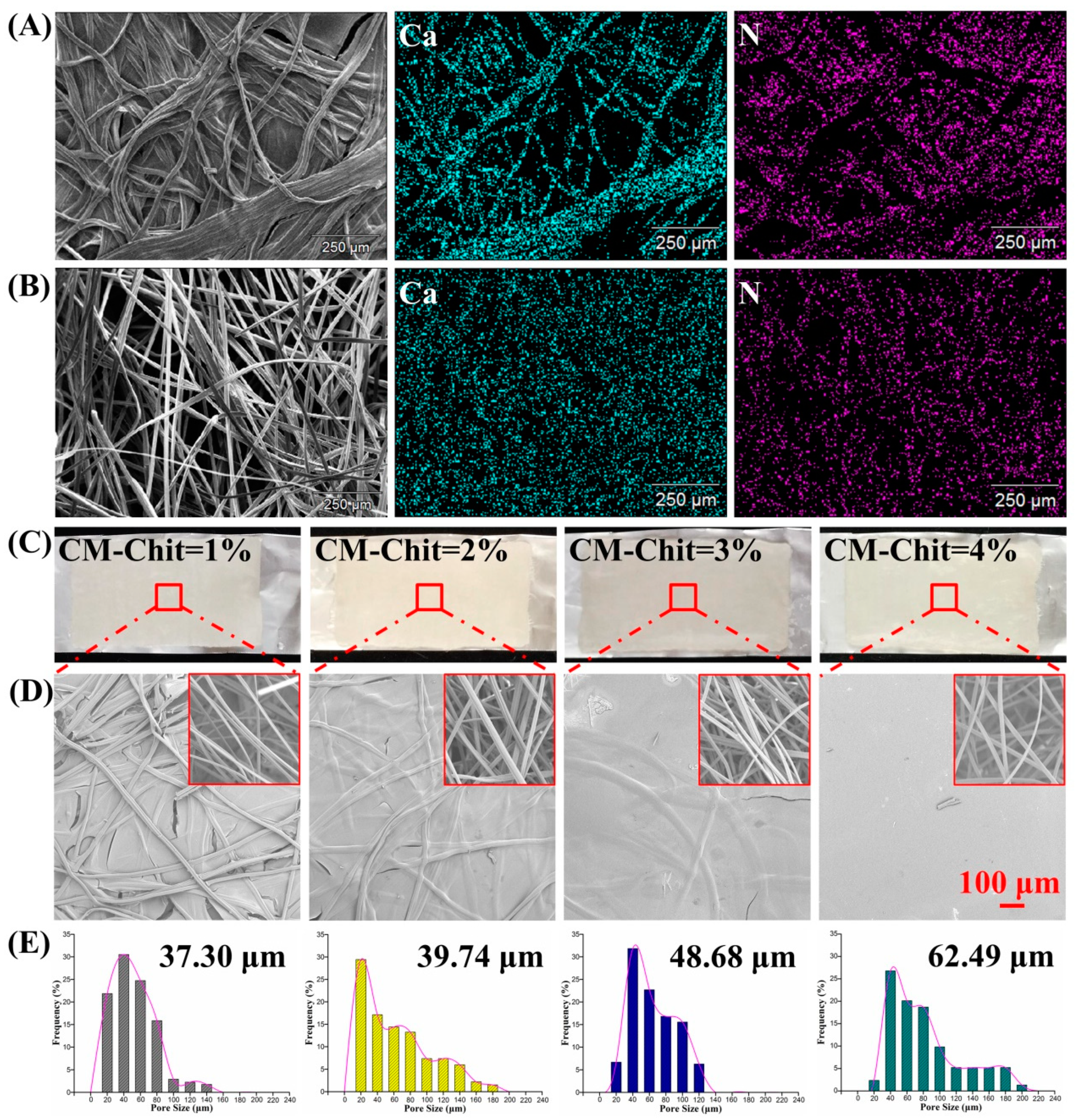 Marinedrugs 17 00575 g003 Marinedrugs 17 00575 g003