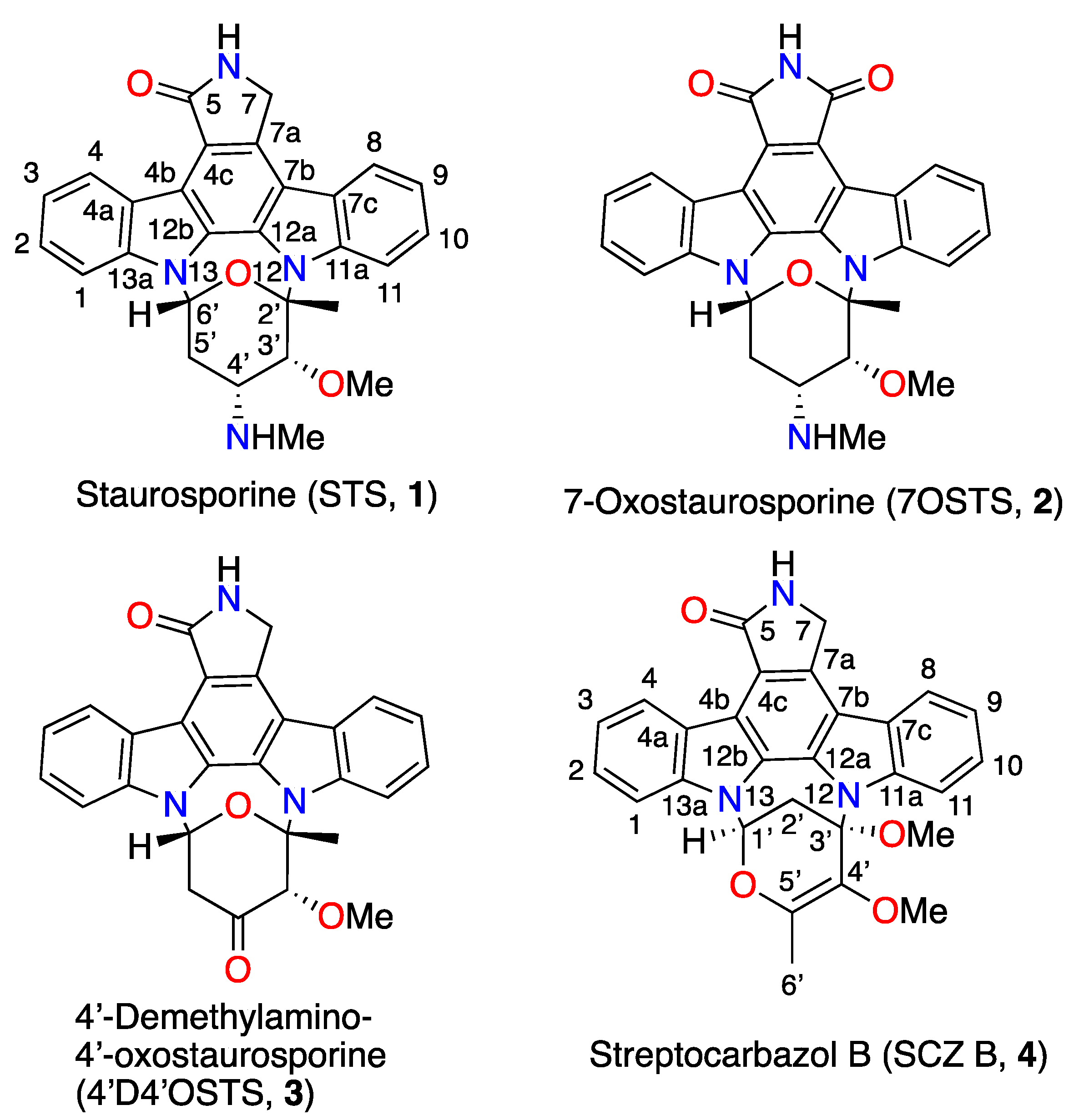 Marinedrugs 17 00588 g001 Marinedrugs 17 00588 g001
