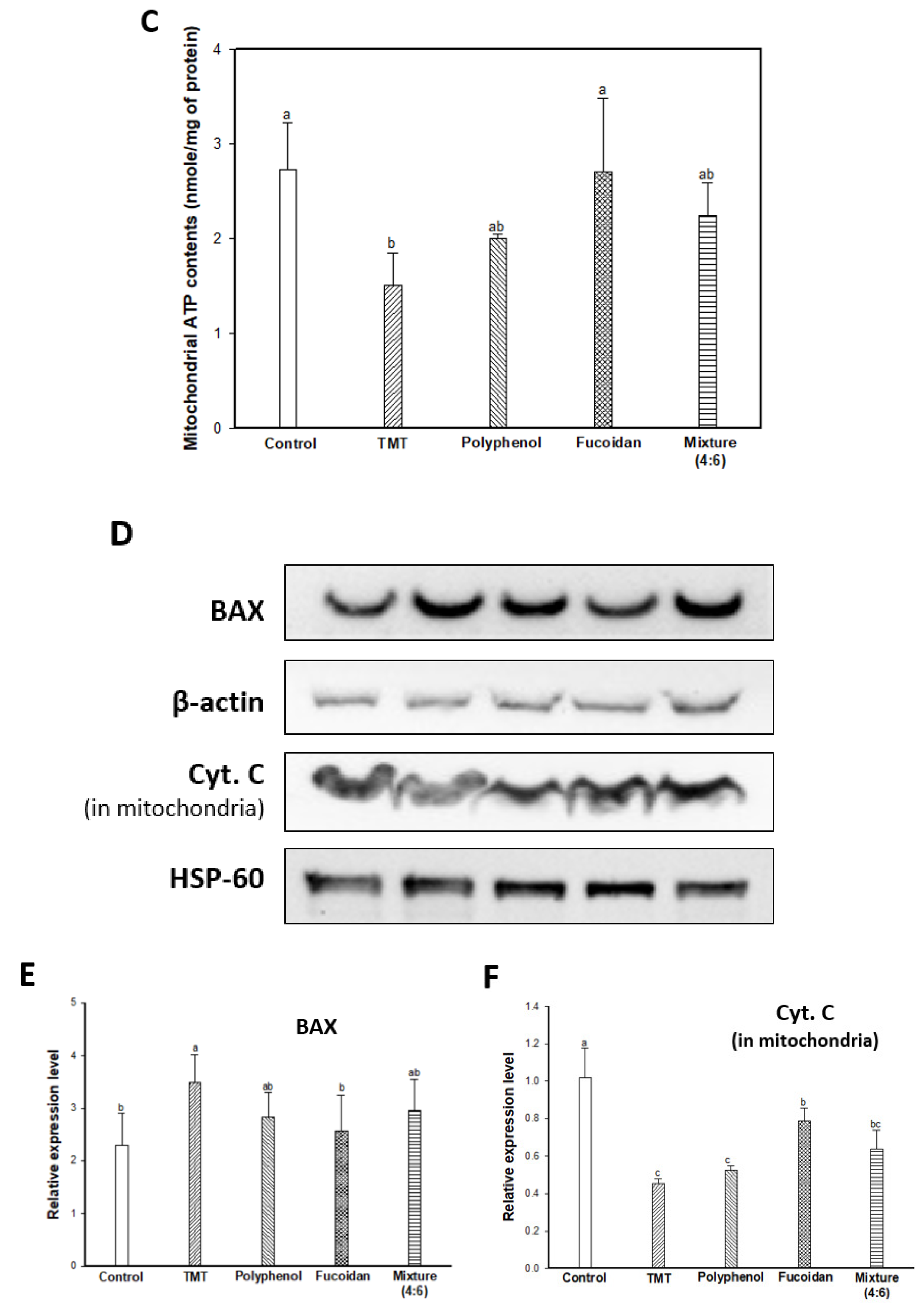 Marinedrugs 17 00591 g004b Marinedrugs 17 00591 g004b