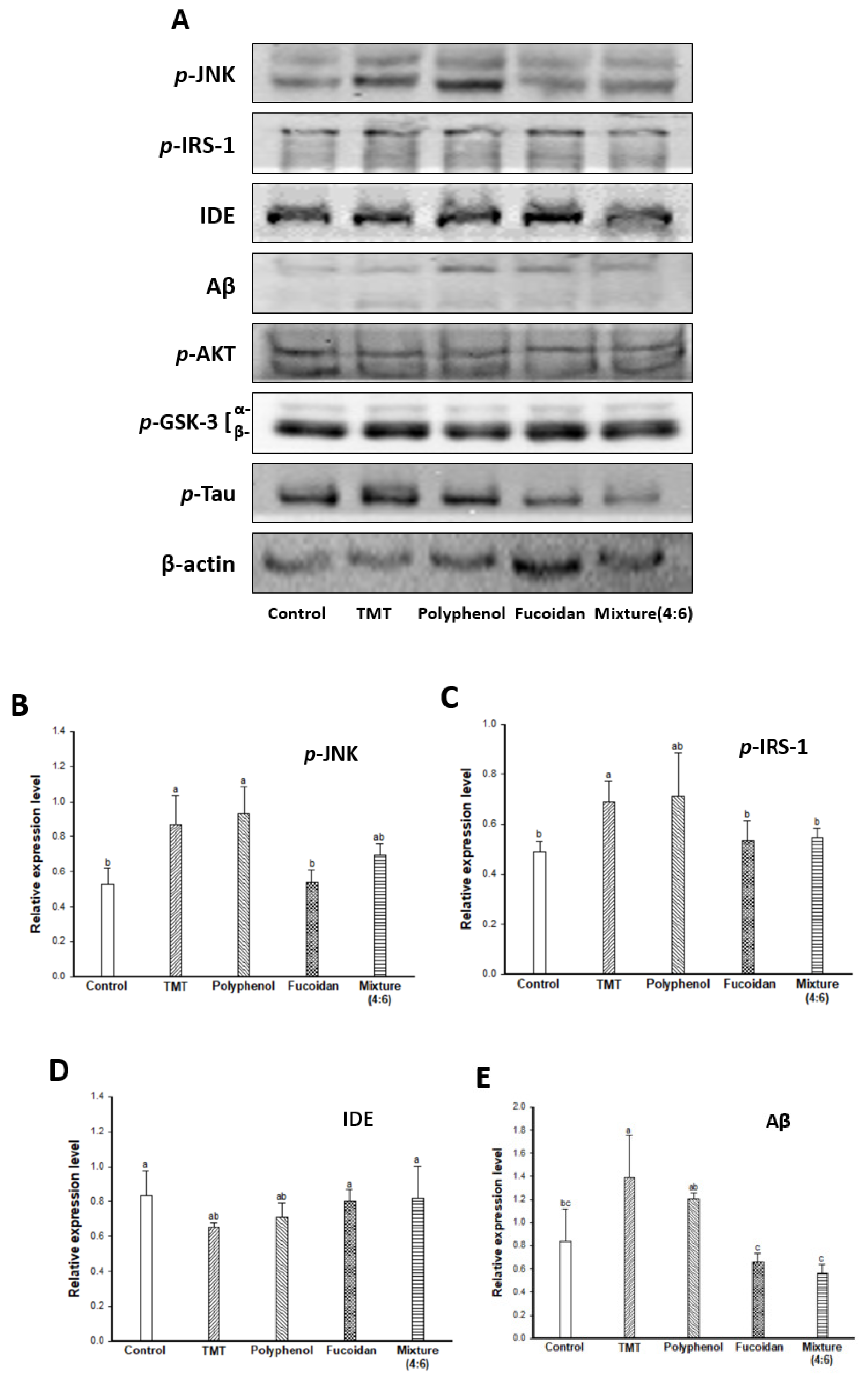 Marinedrugs 17 00591 g005a Marinedrugs 17 00591 g005a