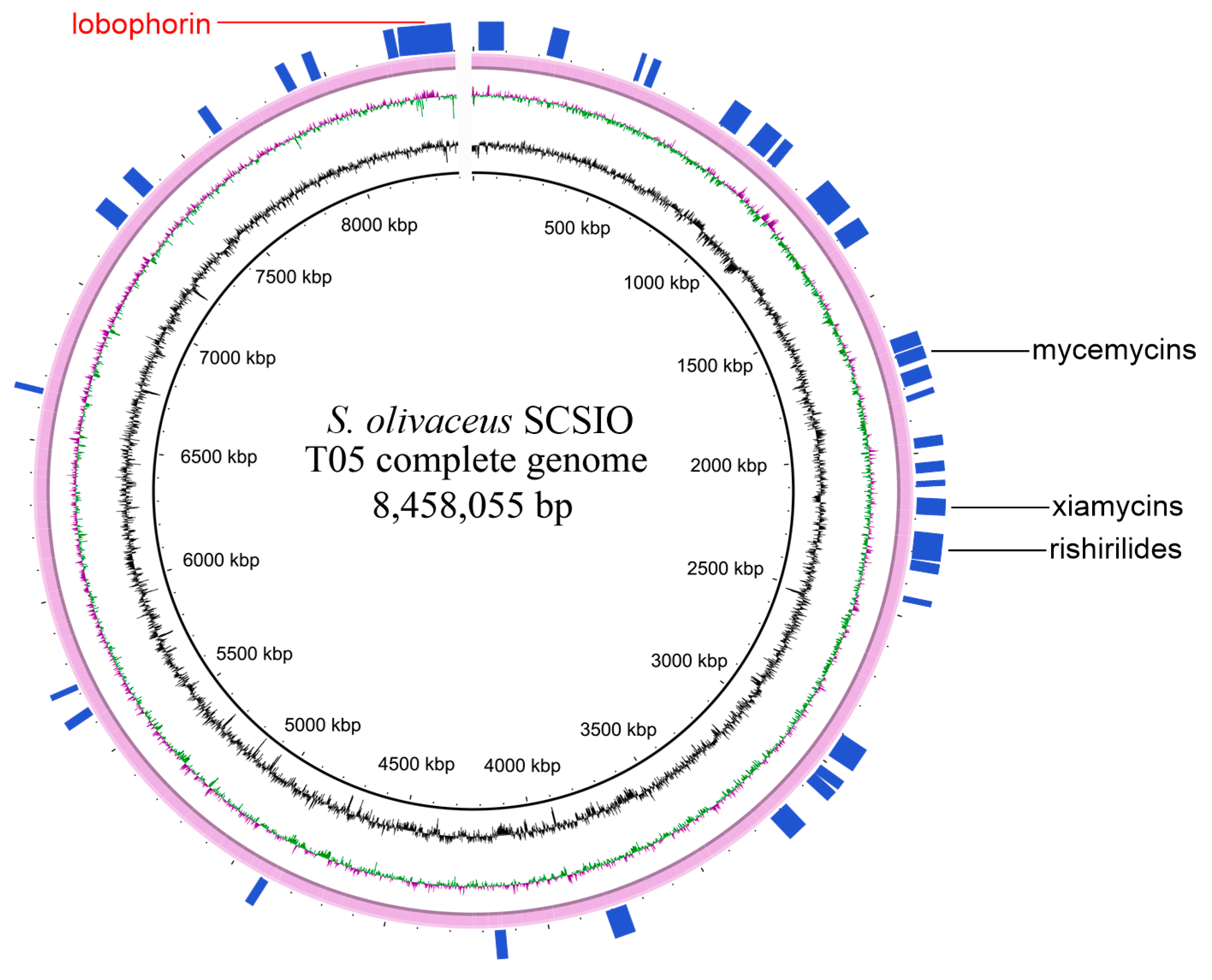 Marinedrugs 17 00593 g001