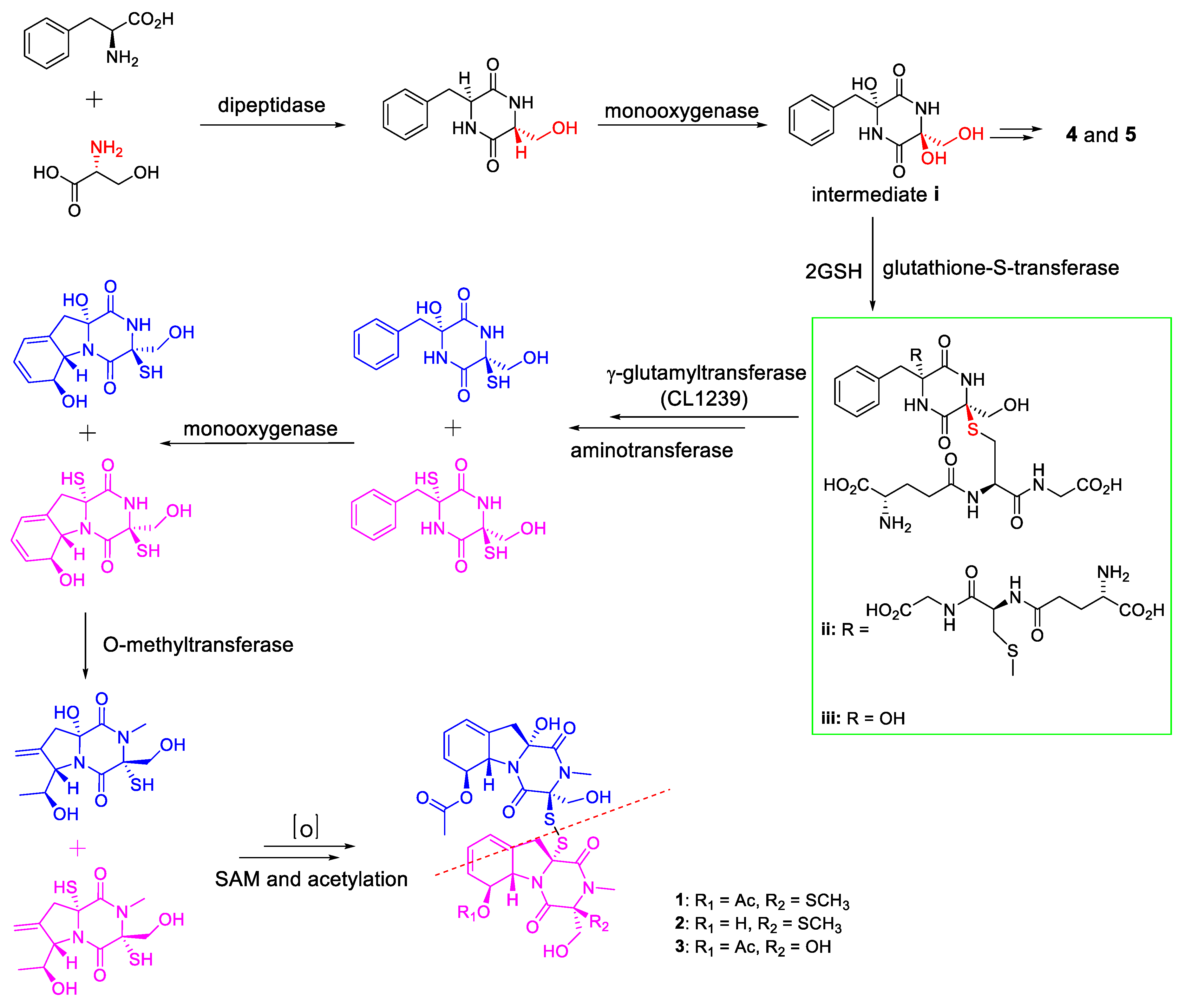 Marinedrugs 17 00596 sch001 550