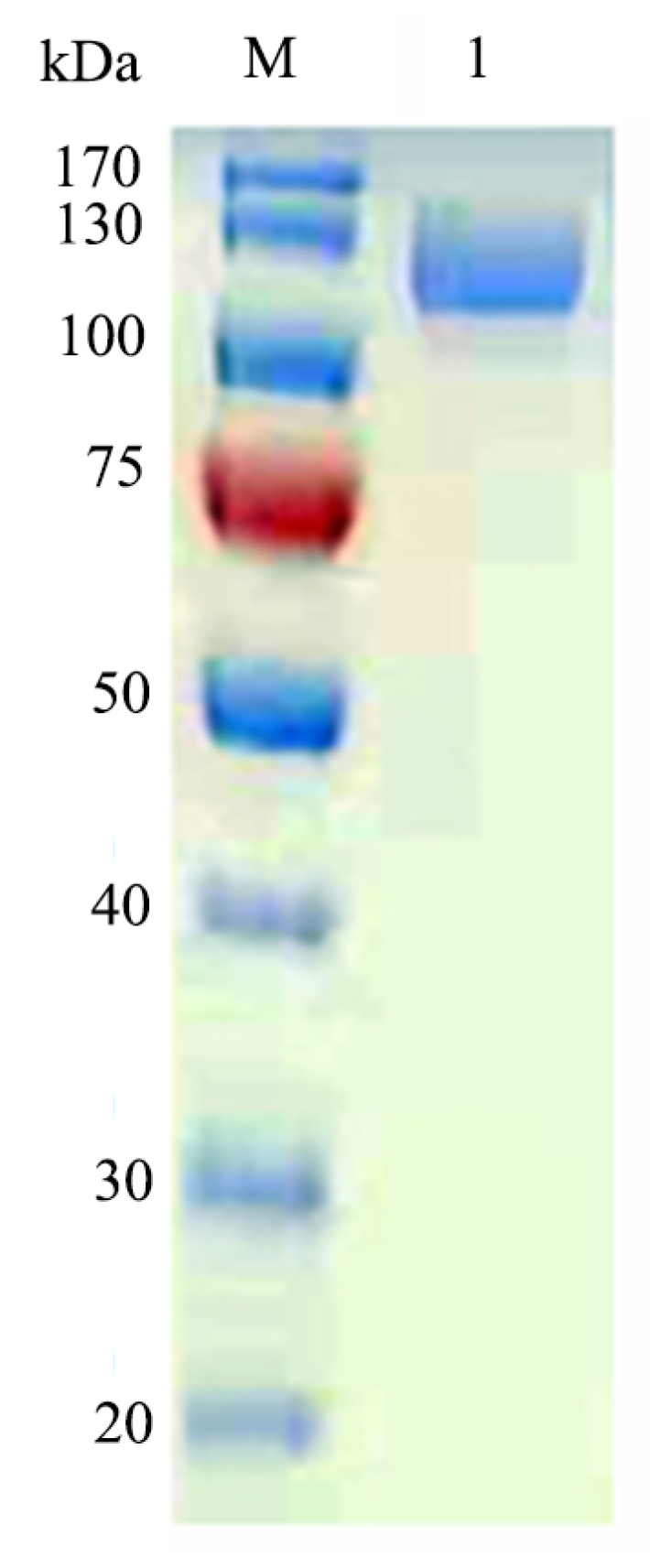 Marinedrugs 17 00599 g003 550