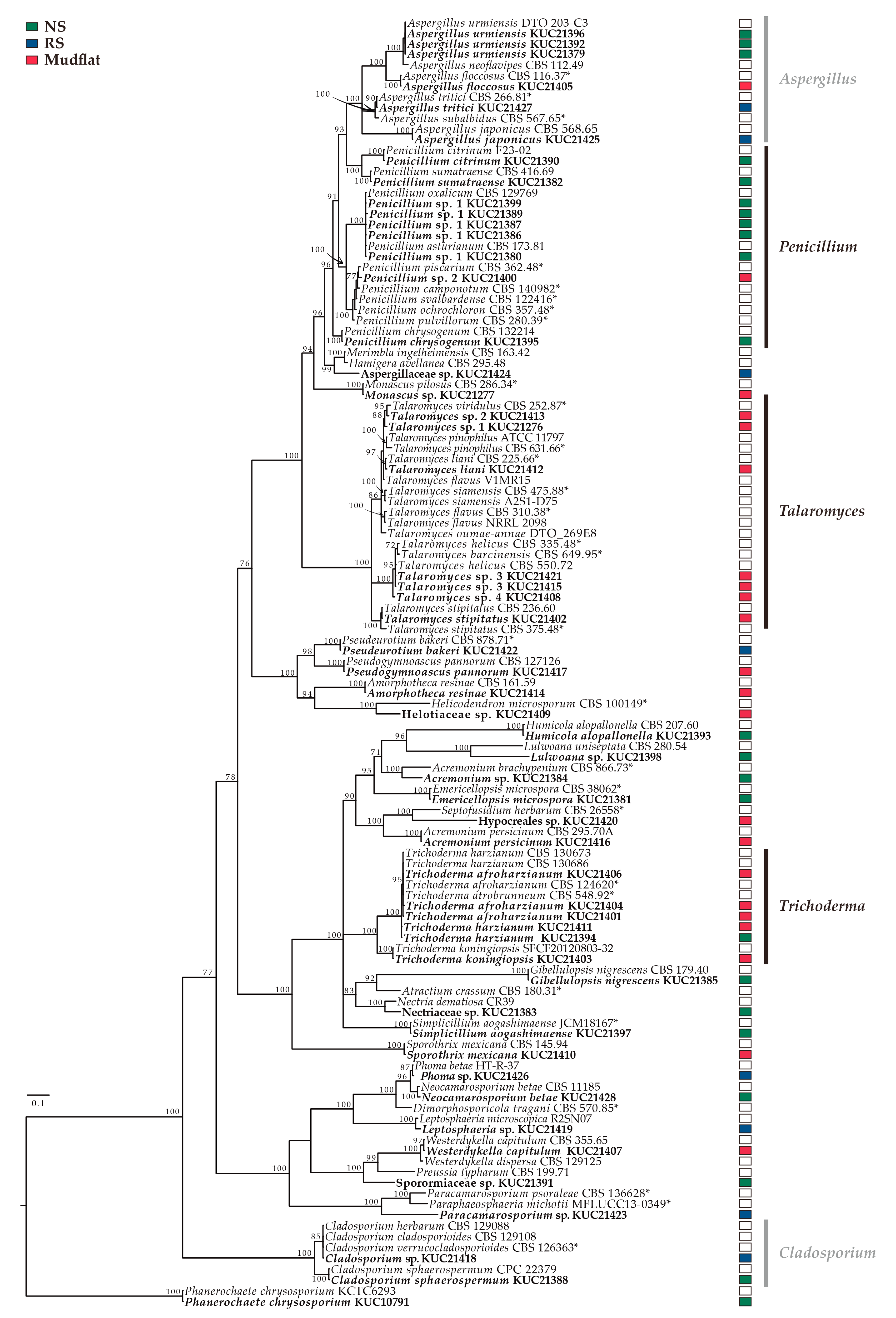 Marinedrugs 17 00601 g005