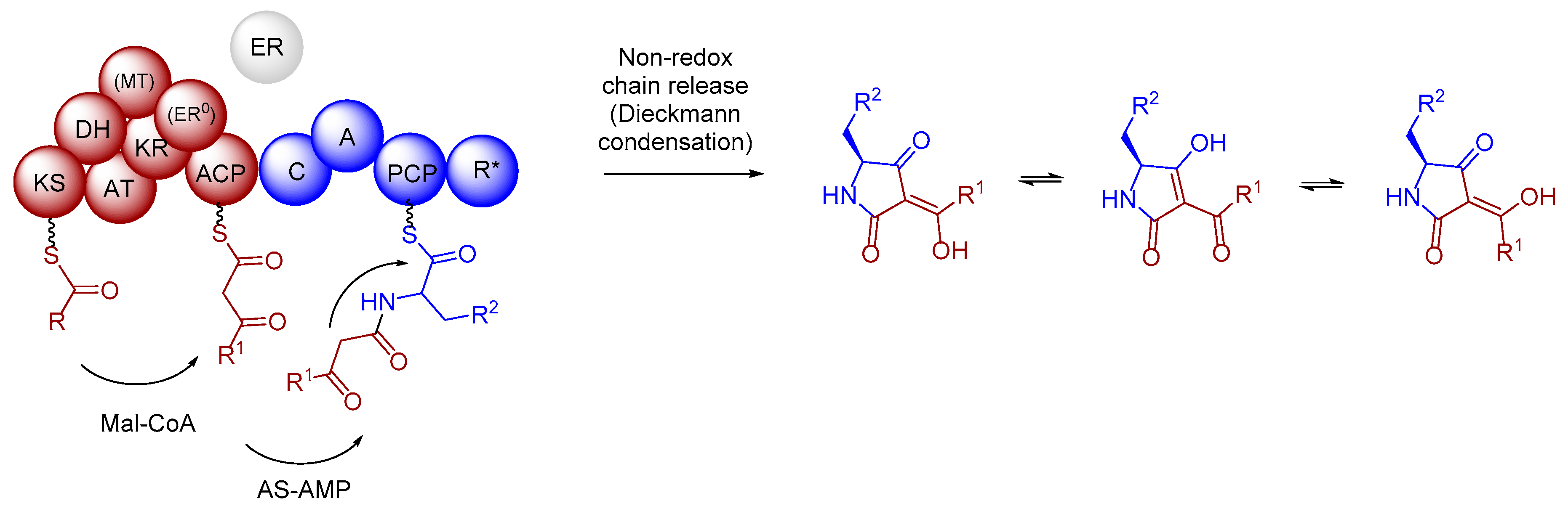 Marinedrugs 17 00606 g004