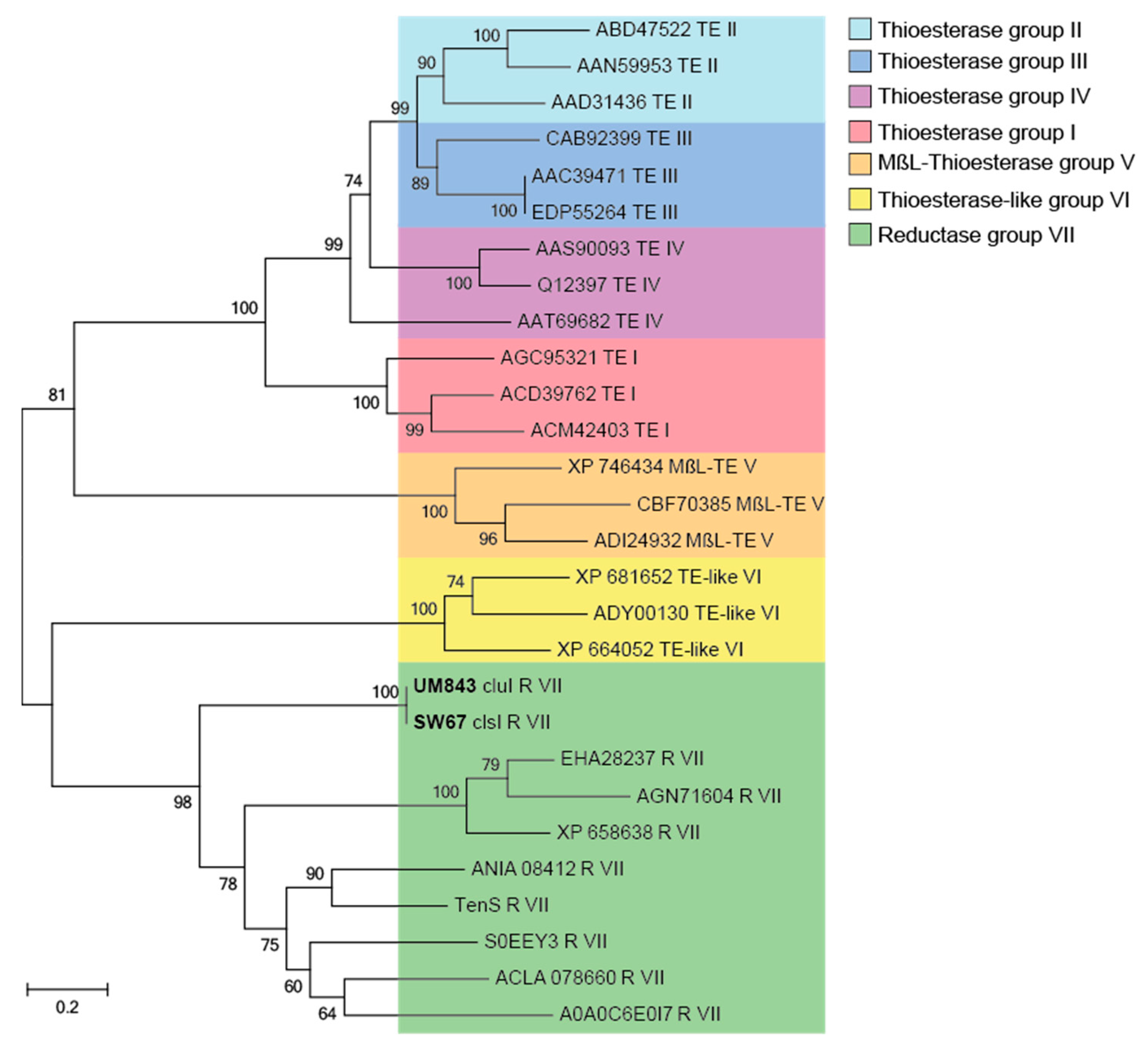 Marinedrugs 17 00606 g005