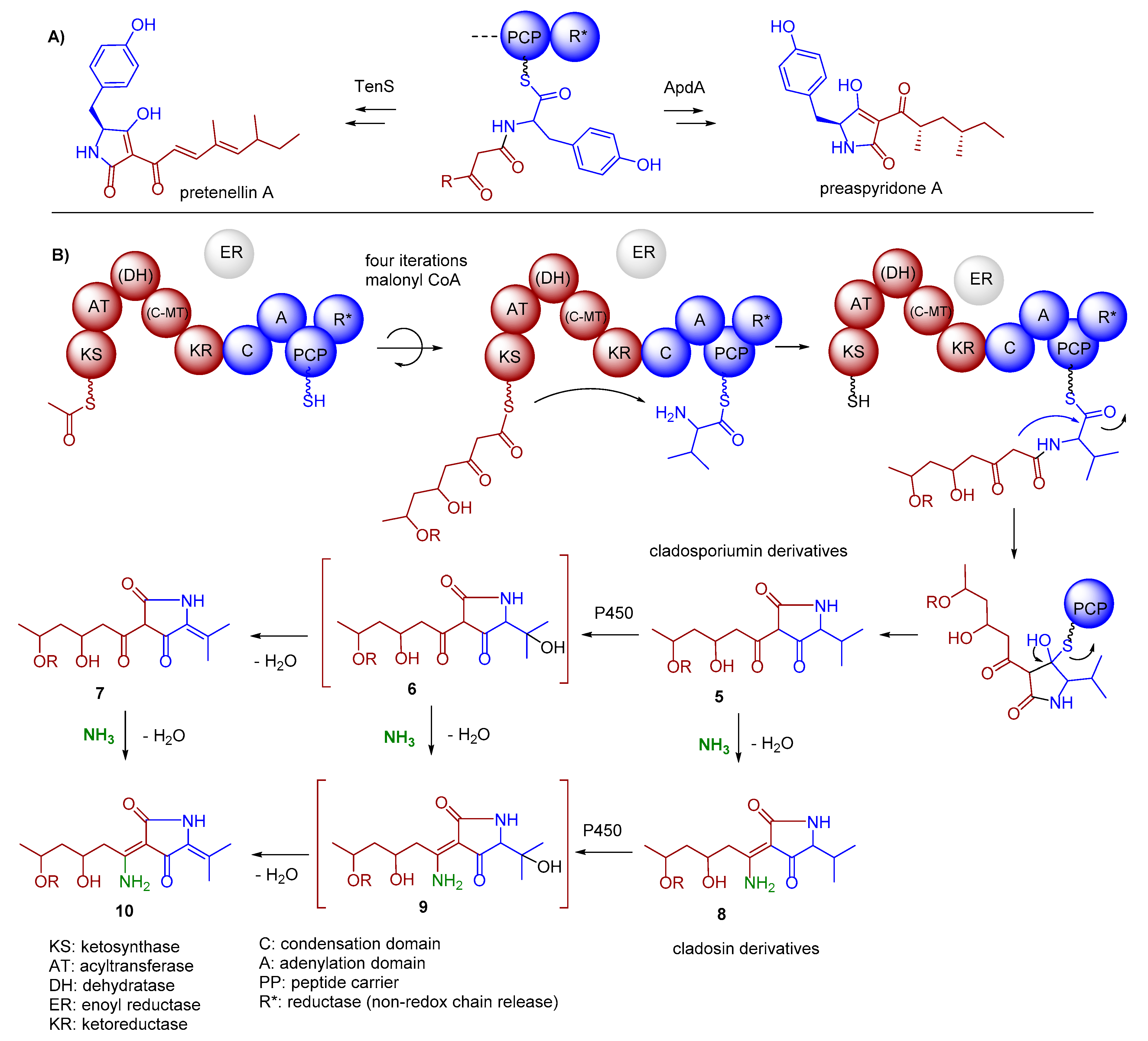 Marinedrugs 17 00606 g006