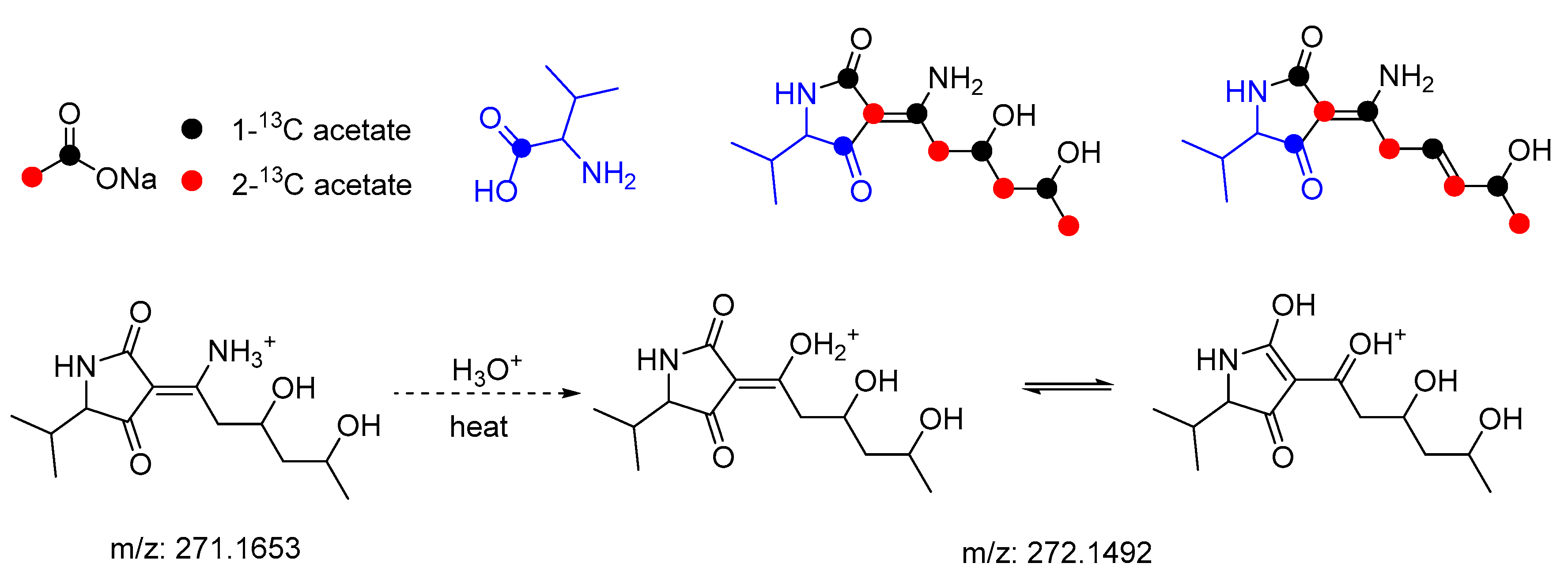 Marinedrugs 17 00606 g007
