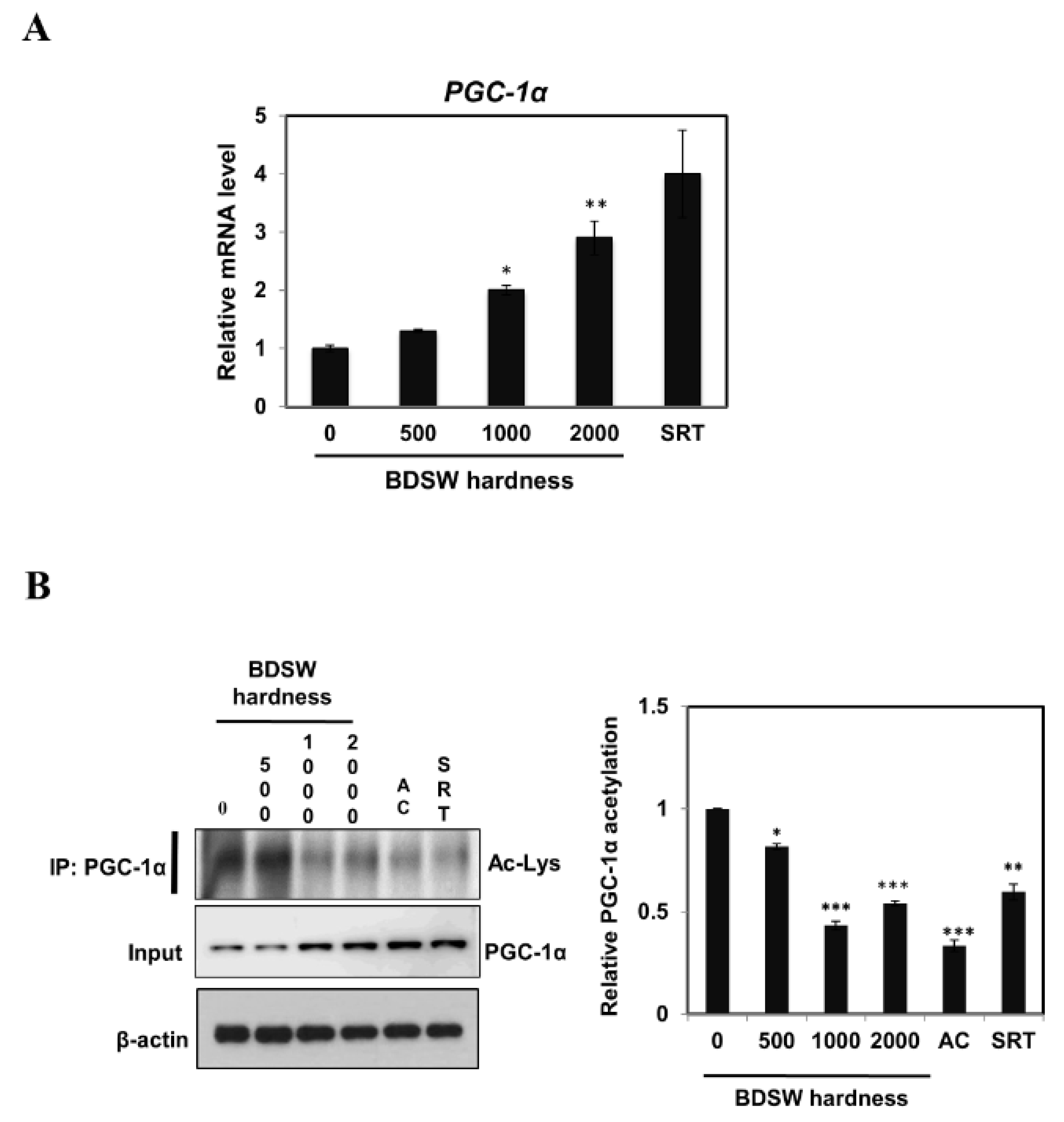 Marinedrugs 17 00611 g003 Marinedrugs 17 00611 g003