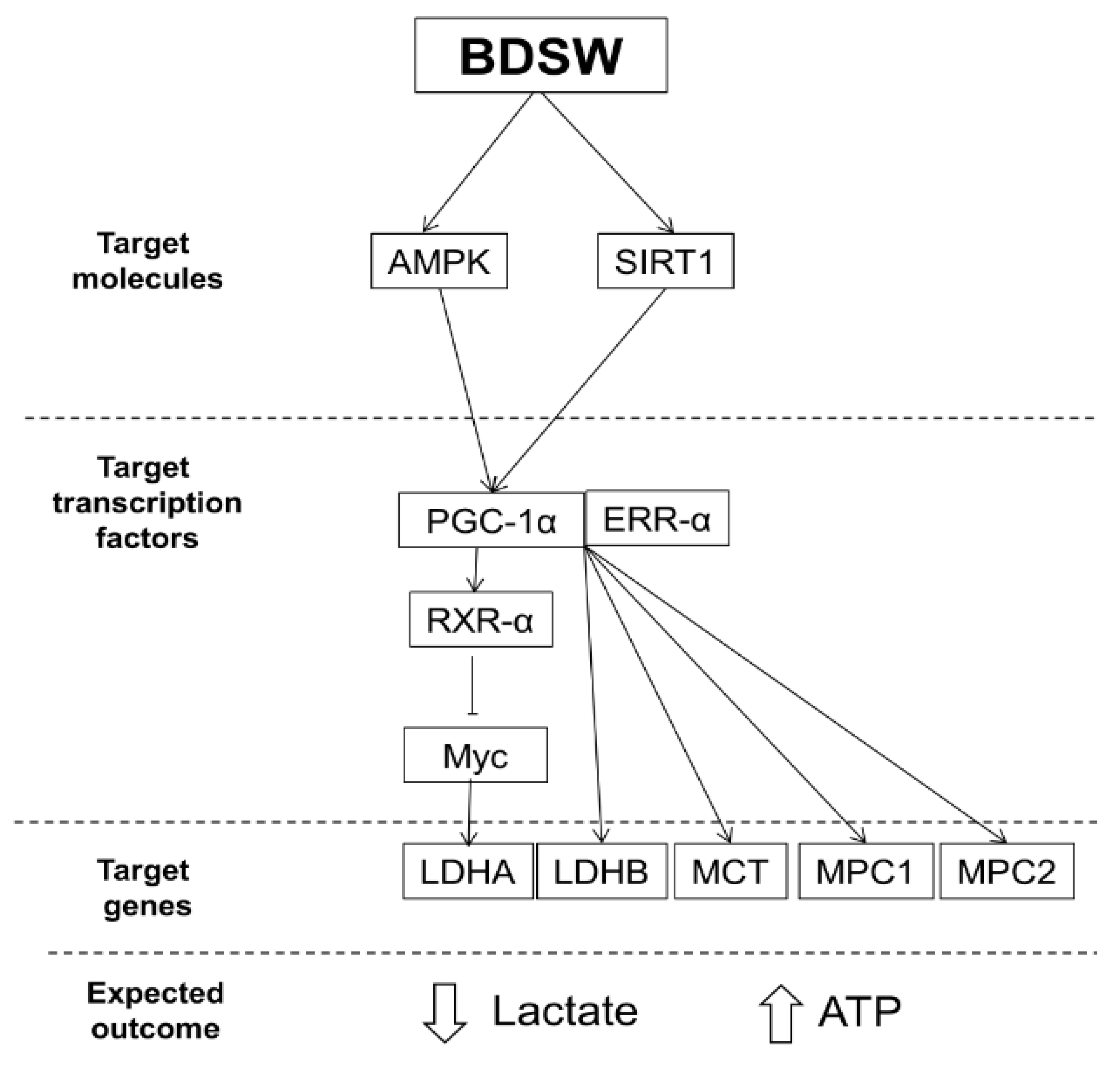 Marinedrugs 17 00611 g007 Marinedrugs 17 00611 g007