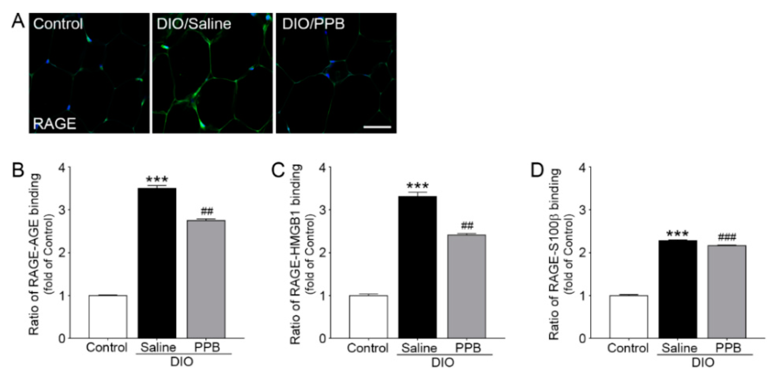Marinedrugs 17 00612 g003 Marinedrugs 17 00612 g003