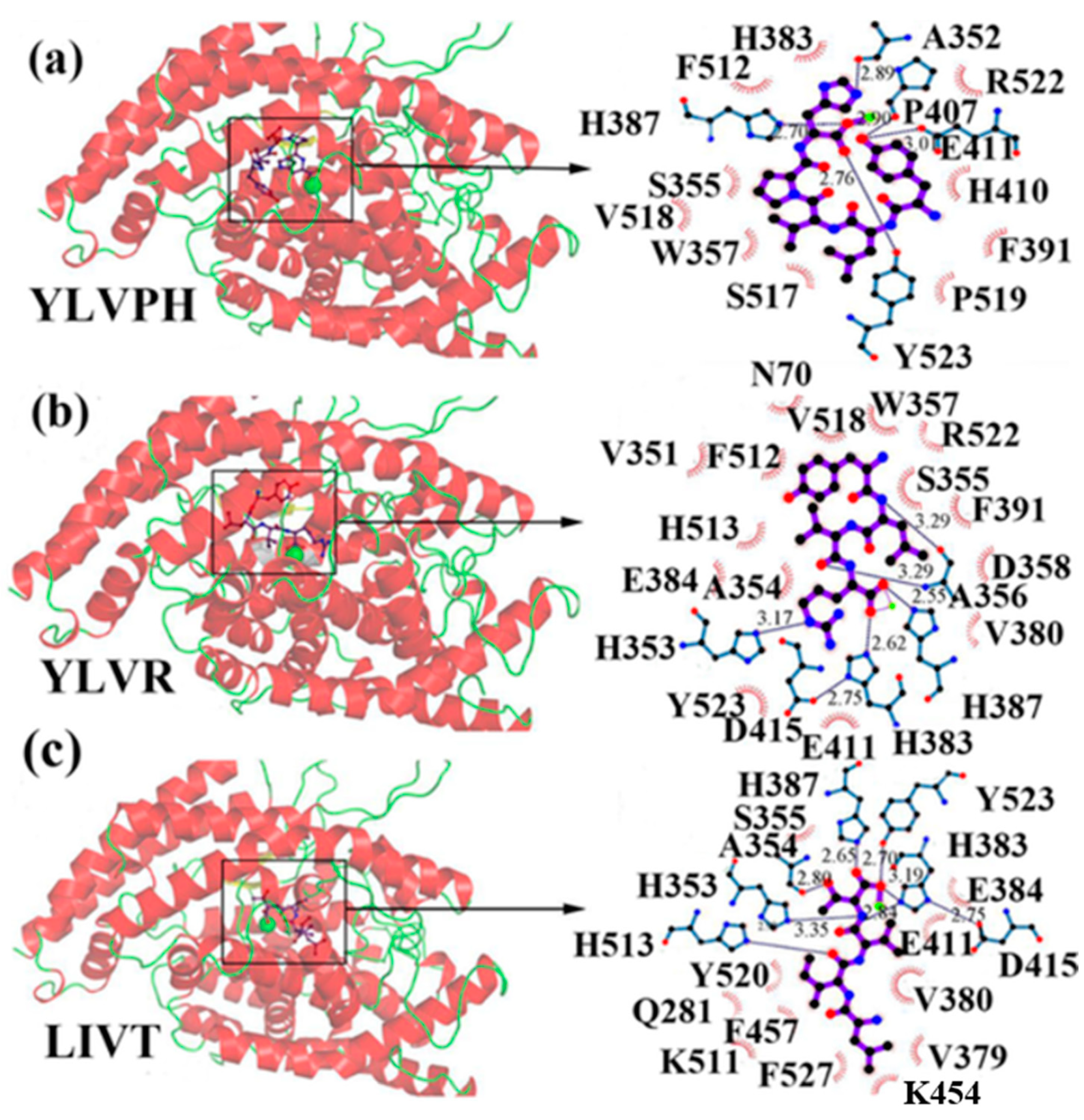 Marinedrugs 17 00613 g002 Marinedrugs 17 00613 g002