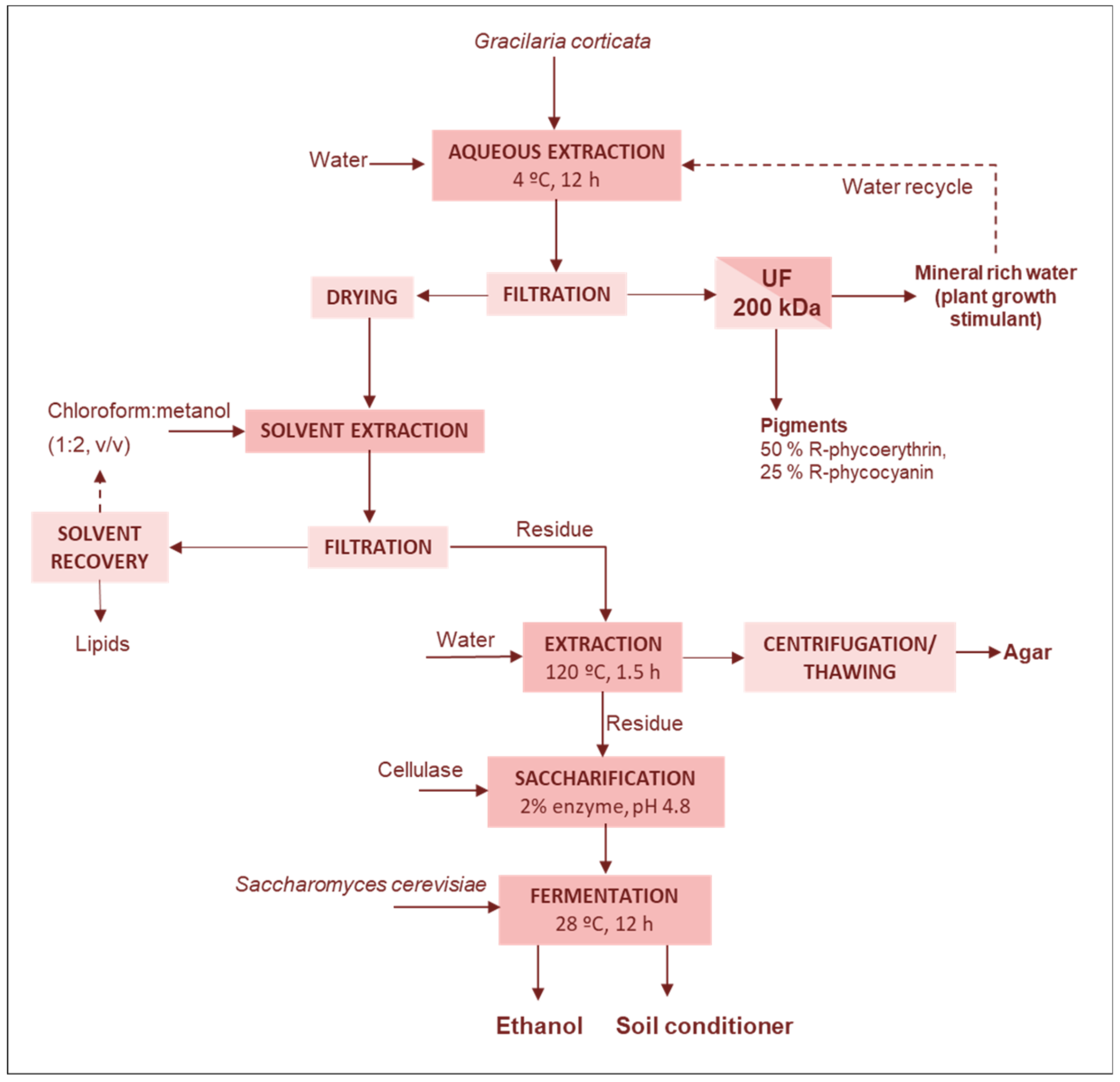 Marinedrugs 17 00620 g003
