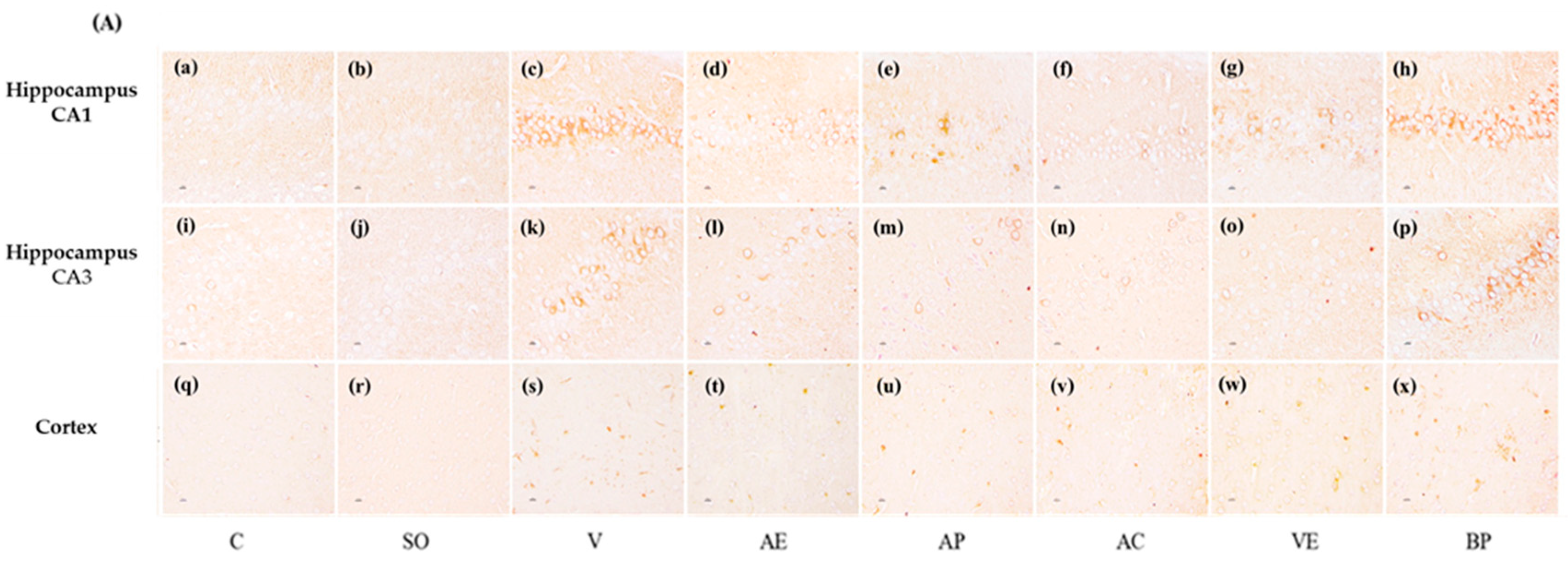 Marinedrugs 17 00628 g008a