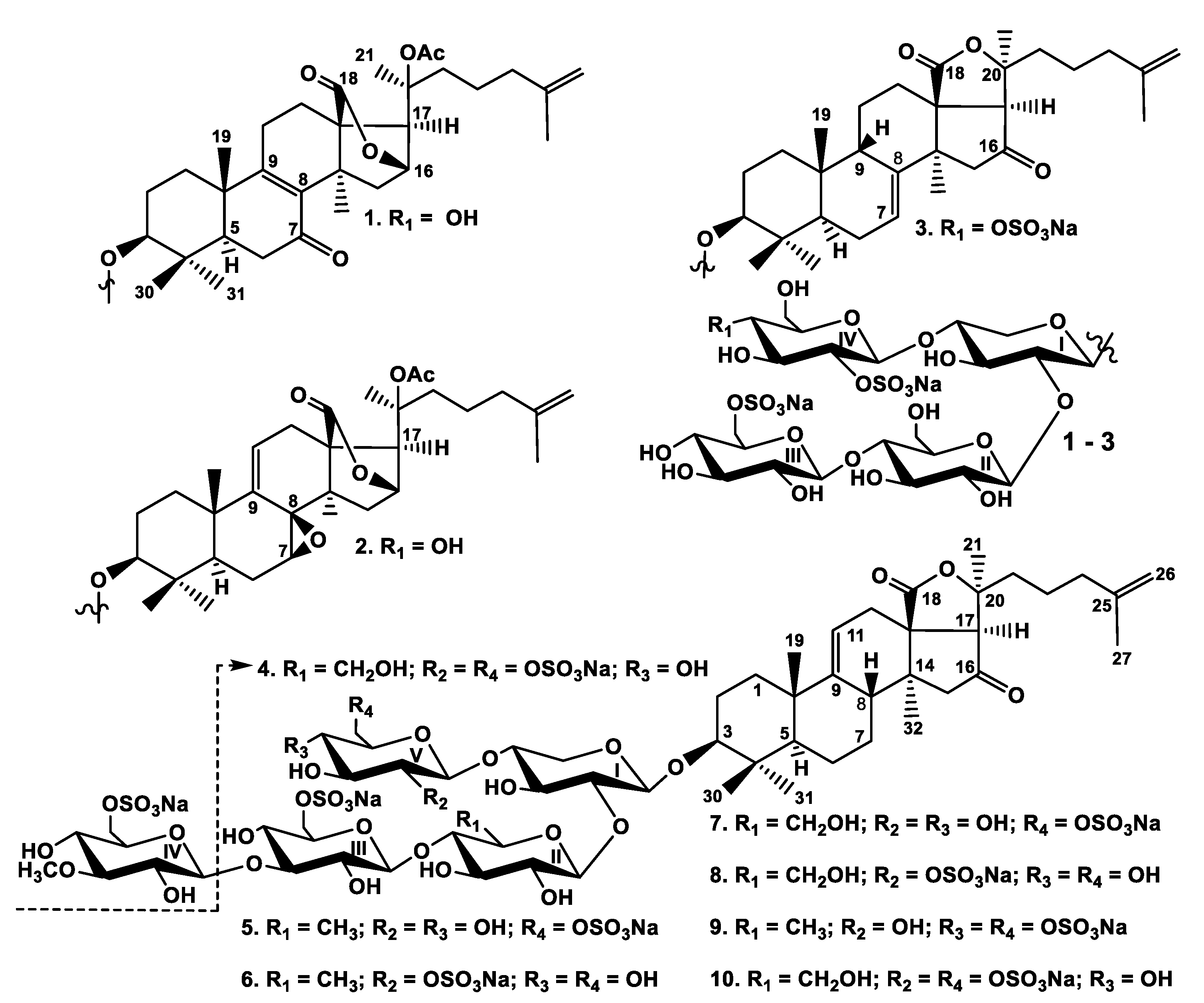 Marine Drugs Free Full Text Structures And Bioactivities Of Psolusosides B1 B2 J K L M N O P And Q From The Sea Cucumber Psolus Fabricii The First Finding Of Marine Drugs Free Full Text Structures And Bioactivities Of Psolusosides B1 B2 J K L M N O P And Q From The Sea Cucumber Psolus Fabricii The First Finding Of