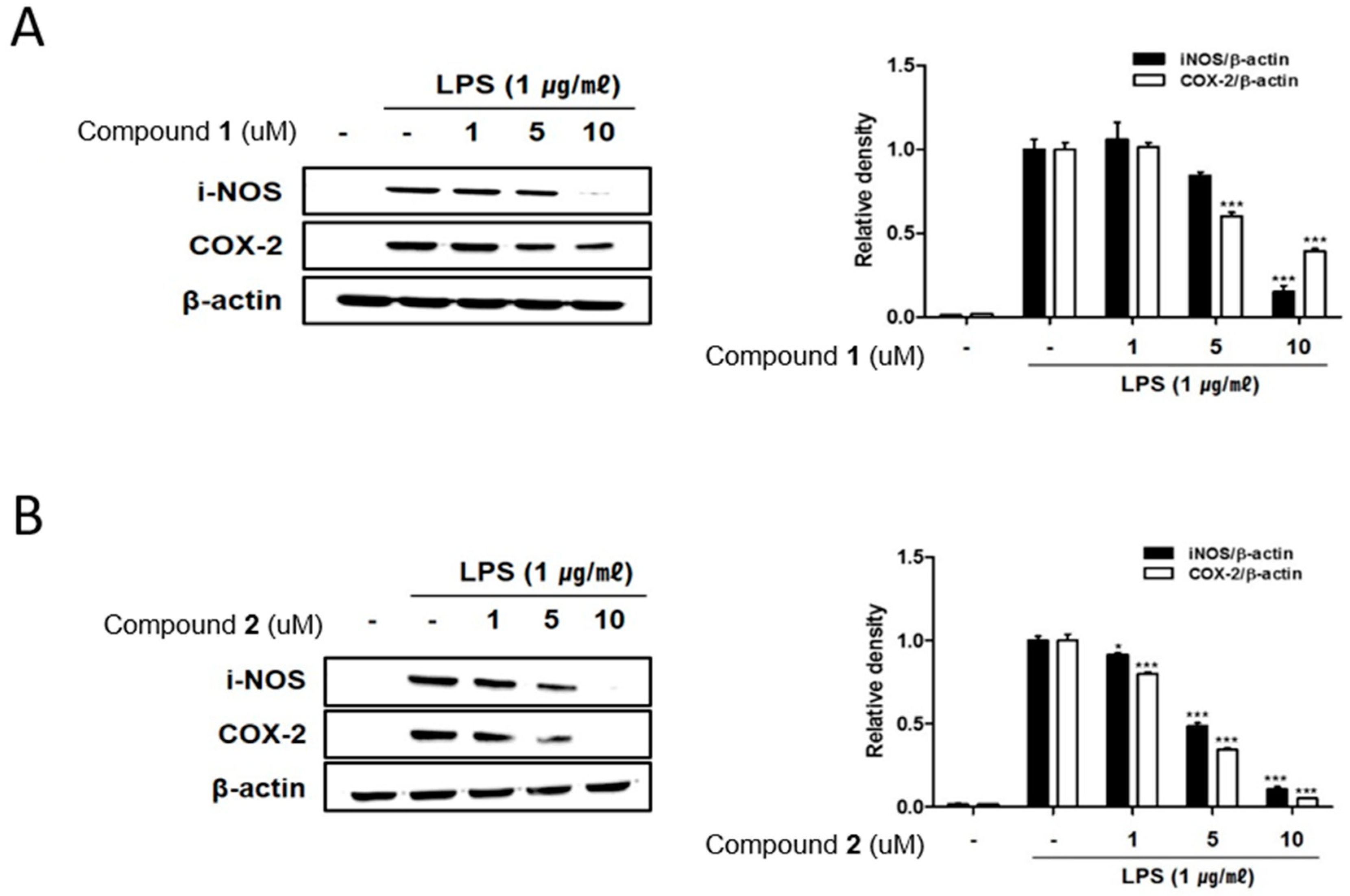 Marinedrugs 17 00634 g003 Marinedrugs 17 00634 g003