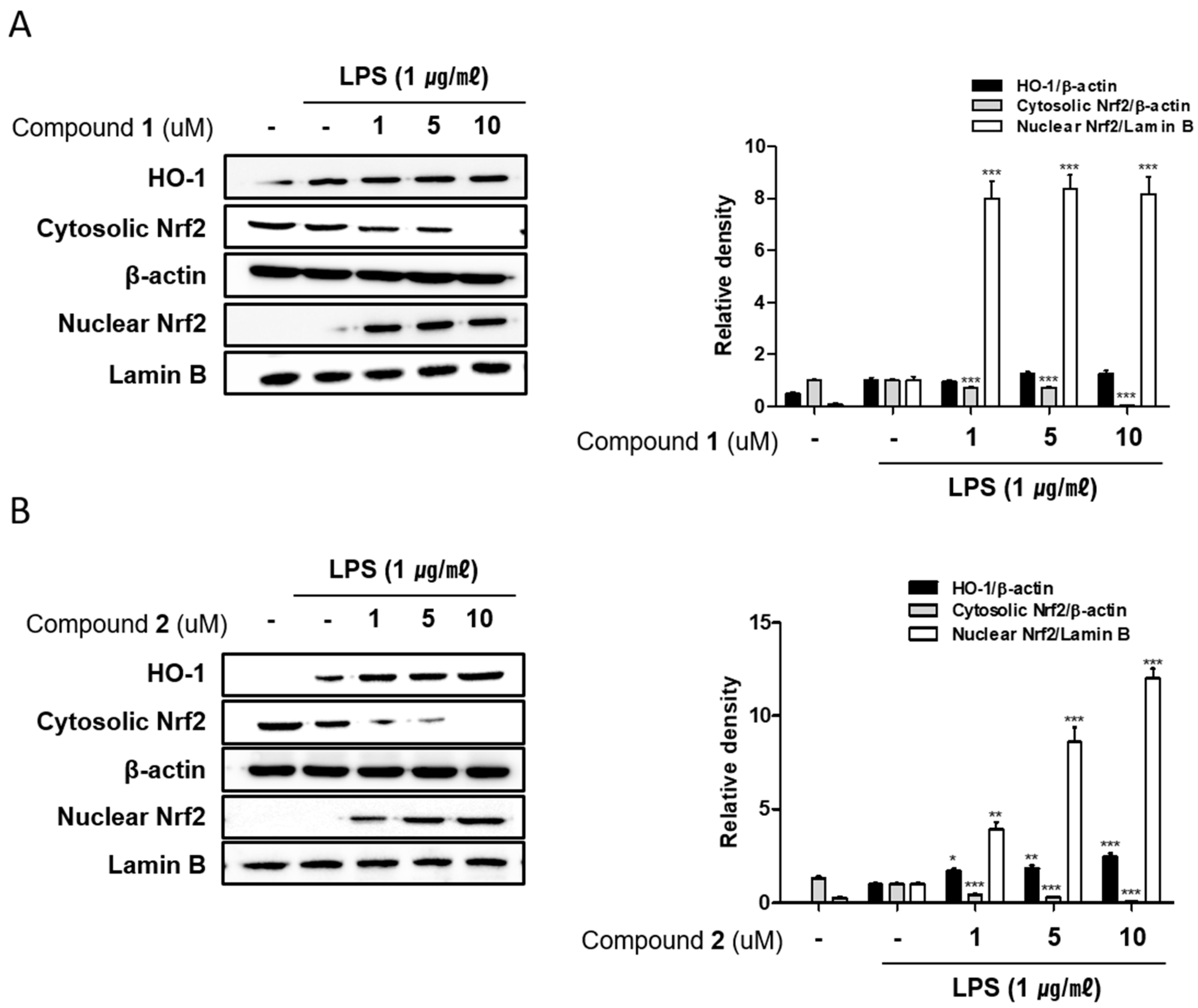 Marinedrugs 17 00634 g008 Marinedrugs 17 00634 g008