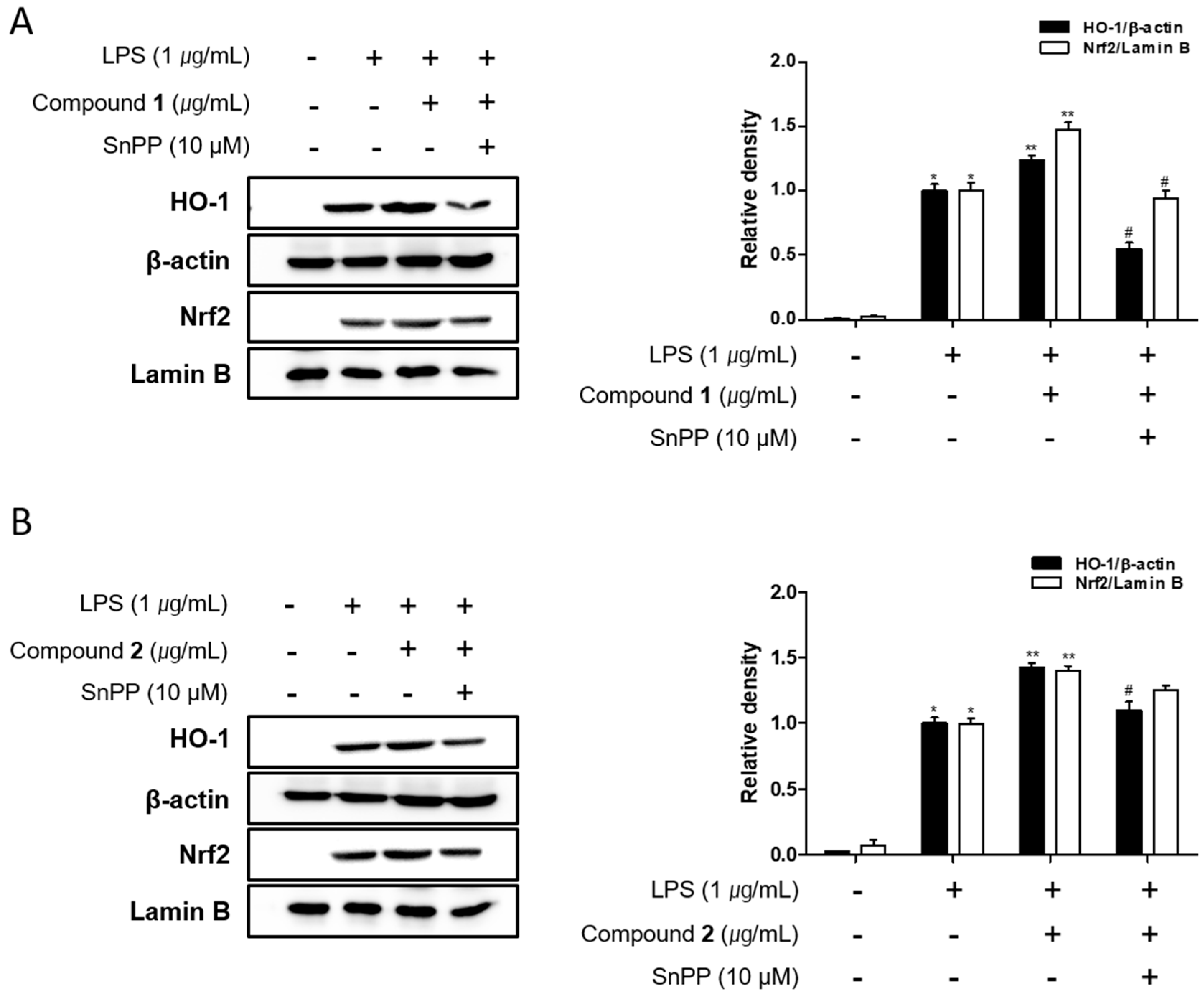 Marinedrugs 17 00634 g009 Marinedrugs 17 00634 g009