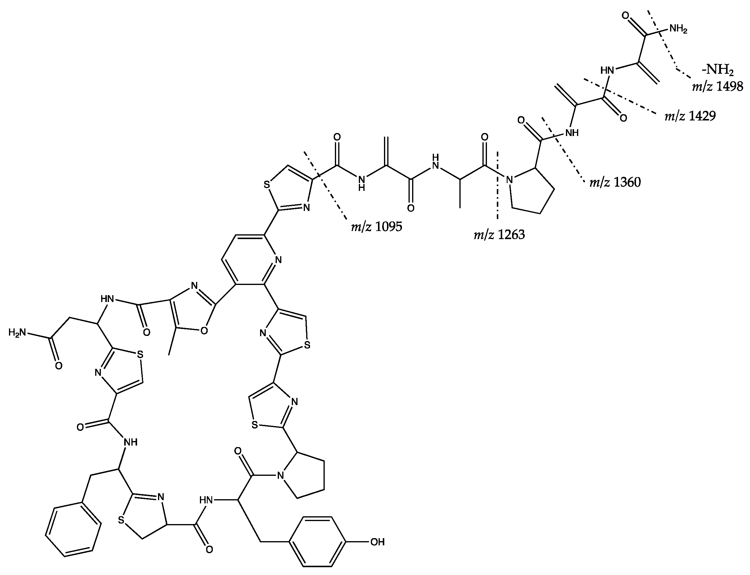 Marinedrugs 17 00635 g004 Marinedrugs 17 00635 g004