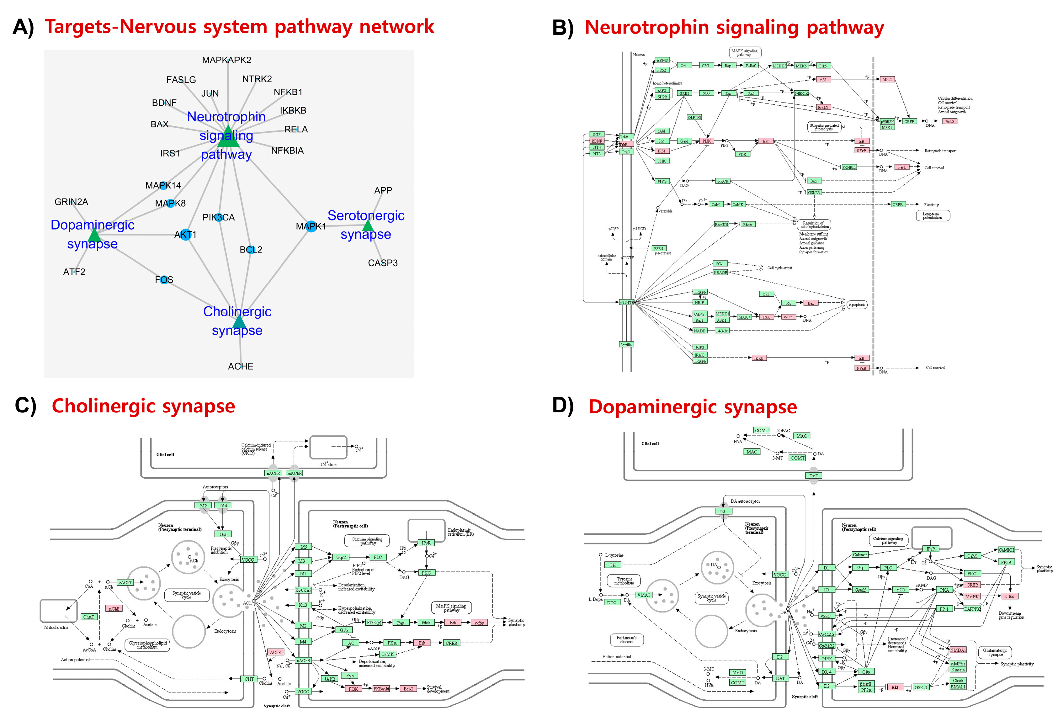 Marinedrugs 17 00639 g005