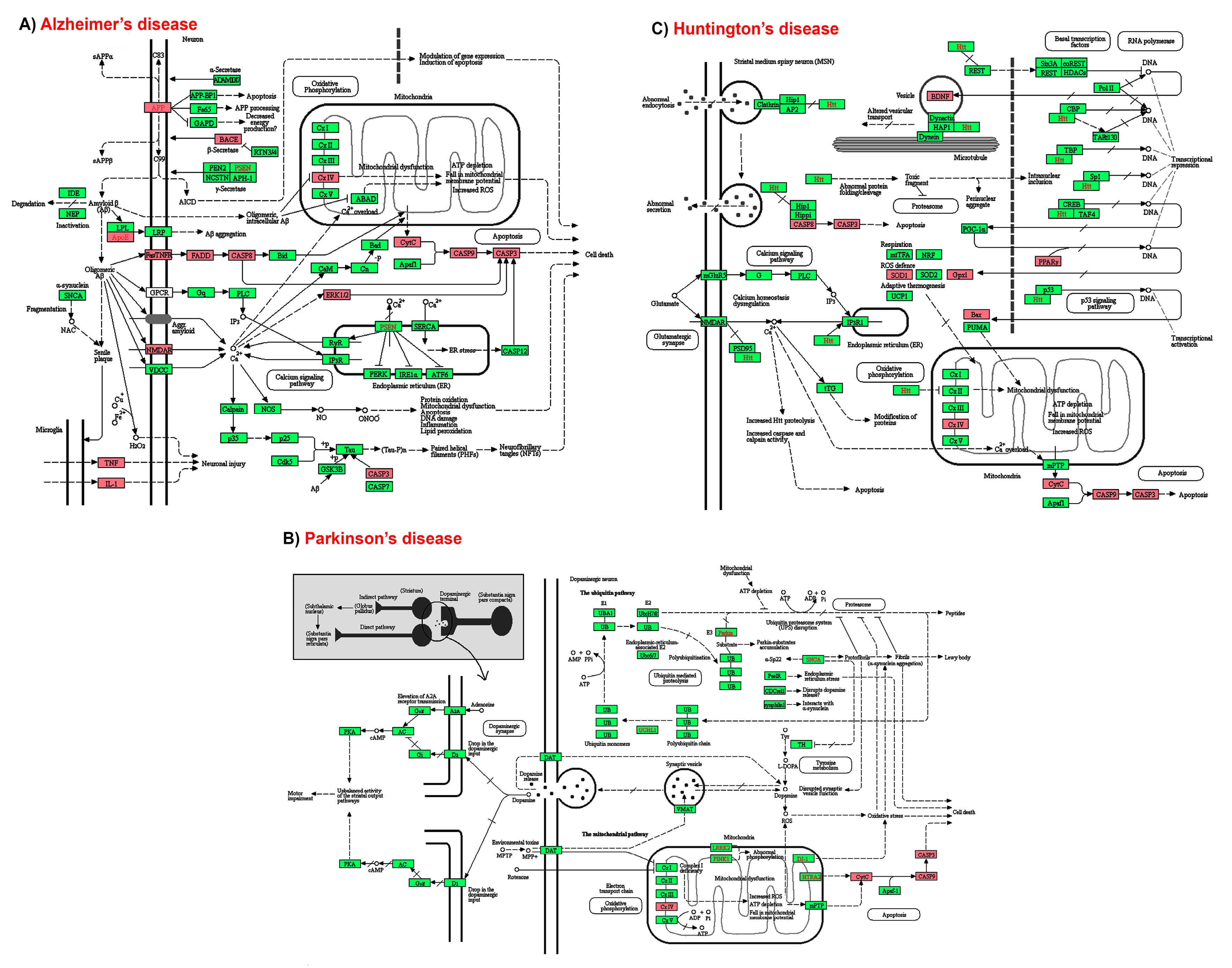 Marinedrugs 17 00639 g007