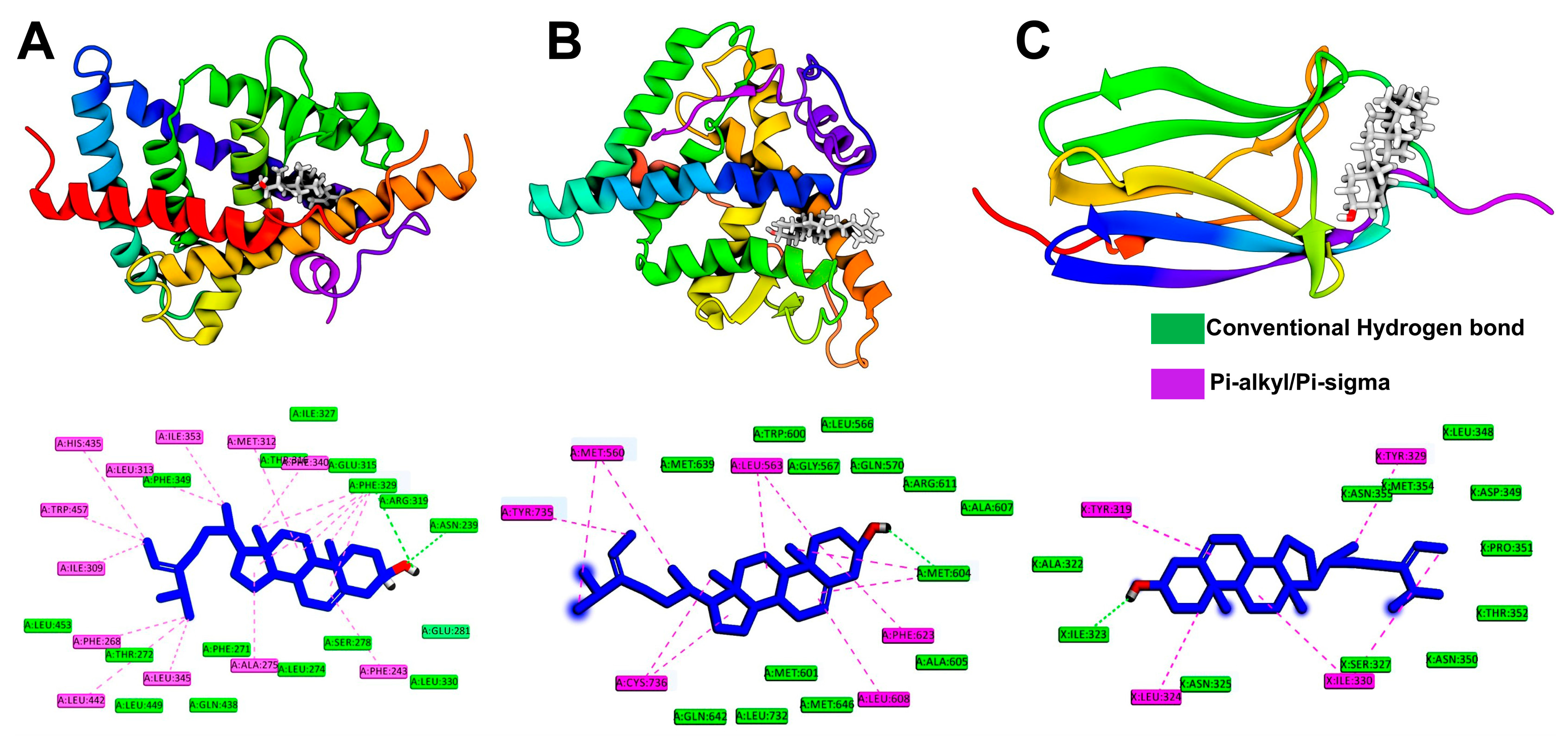Marinedrugs 17 00639 g008