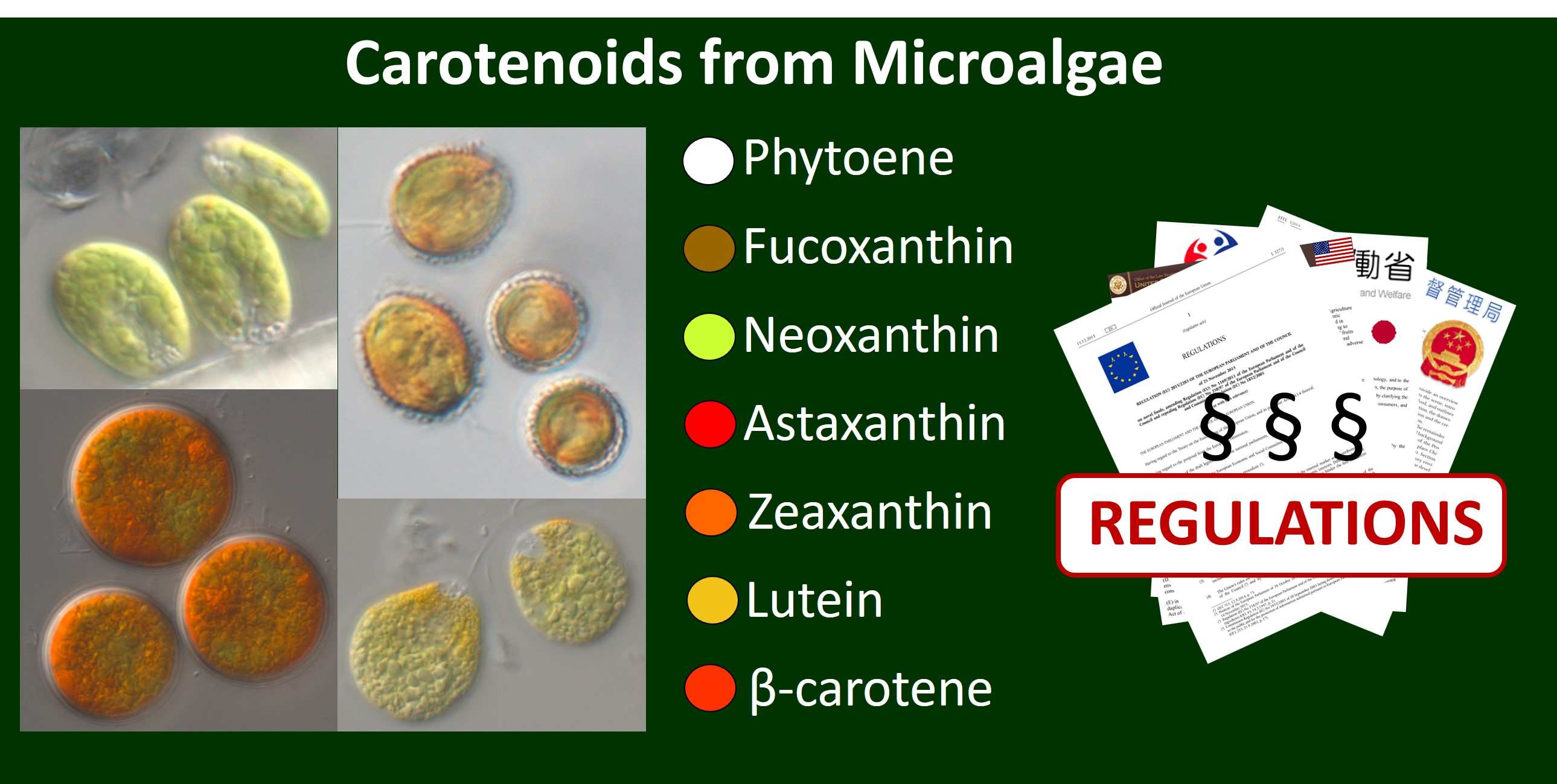 Marine Drugs Free FullText Microalgal Carotenoids A Review of