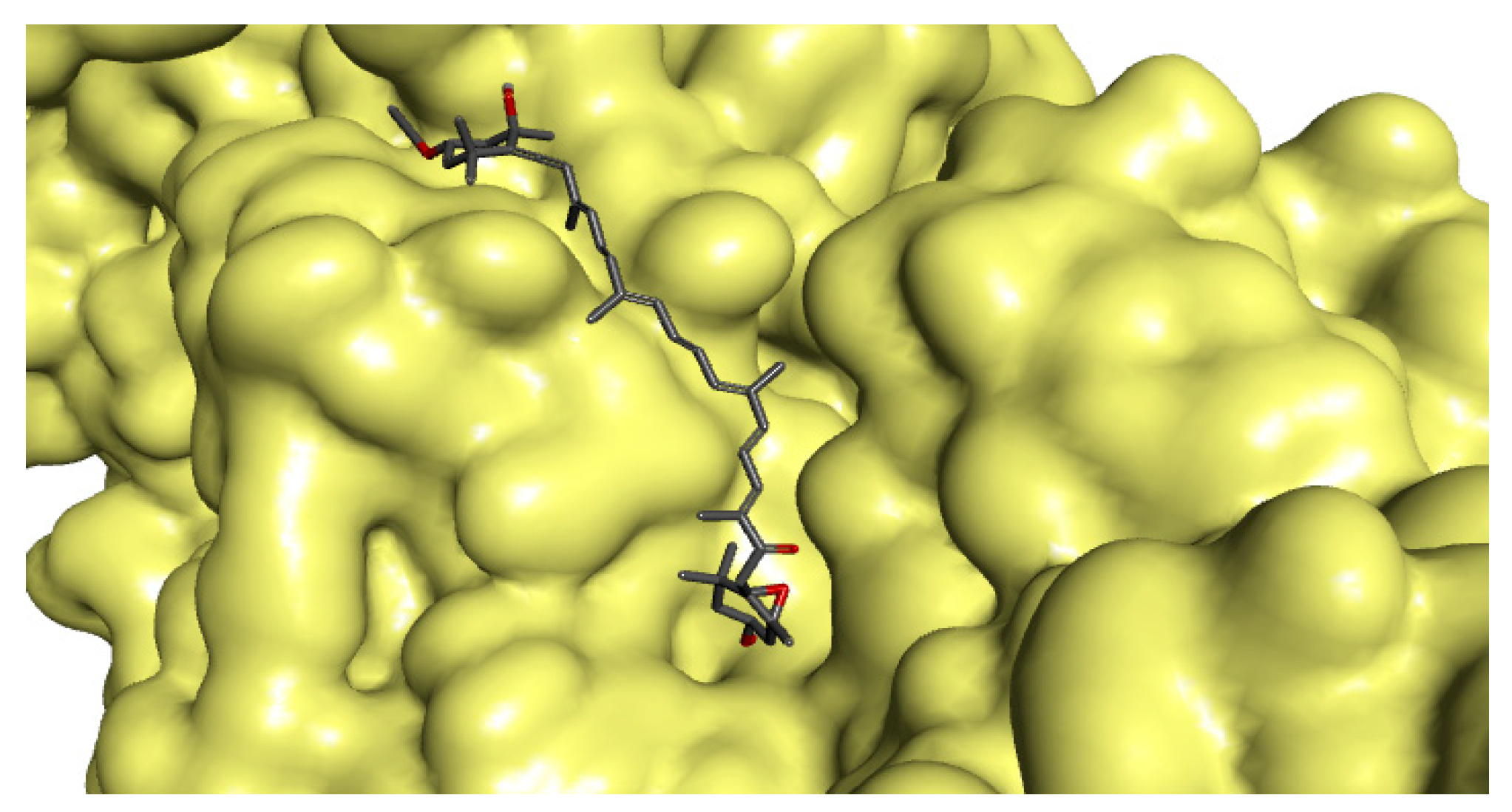 Marinedrugs 17 00641 g001 Marinedrugs 17 00641 g001